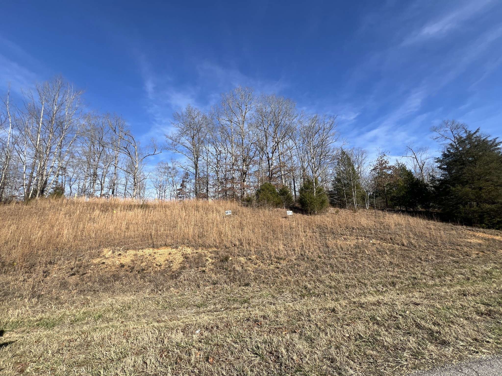0 Hwy 7, Santa Fe, TN 38482