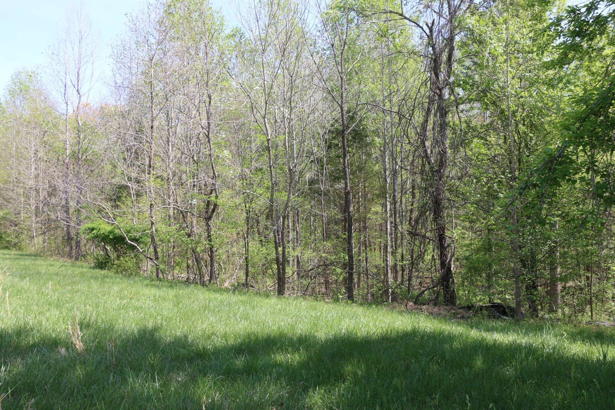 820 New Rd, Clarksville, TN 37040