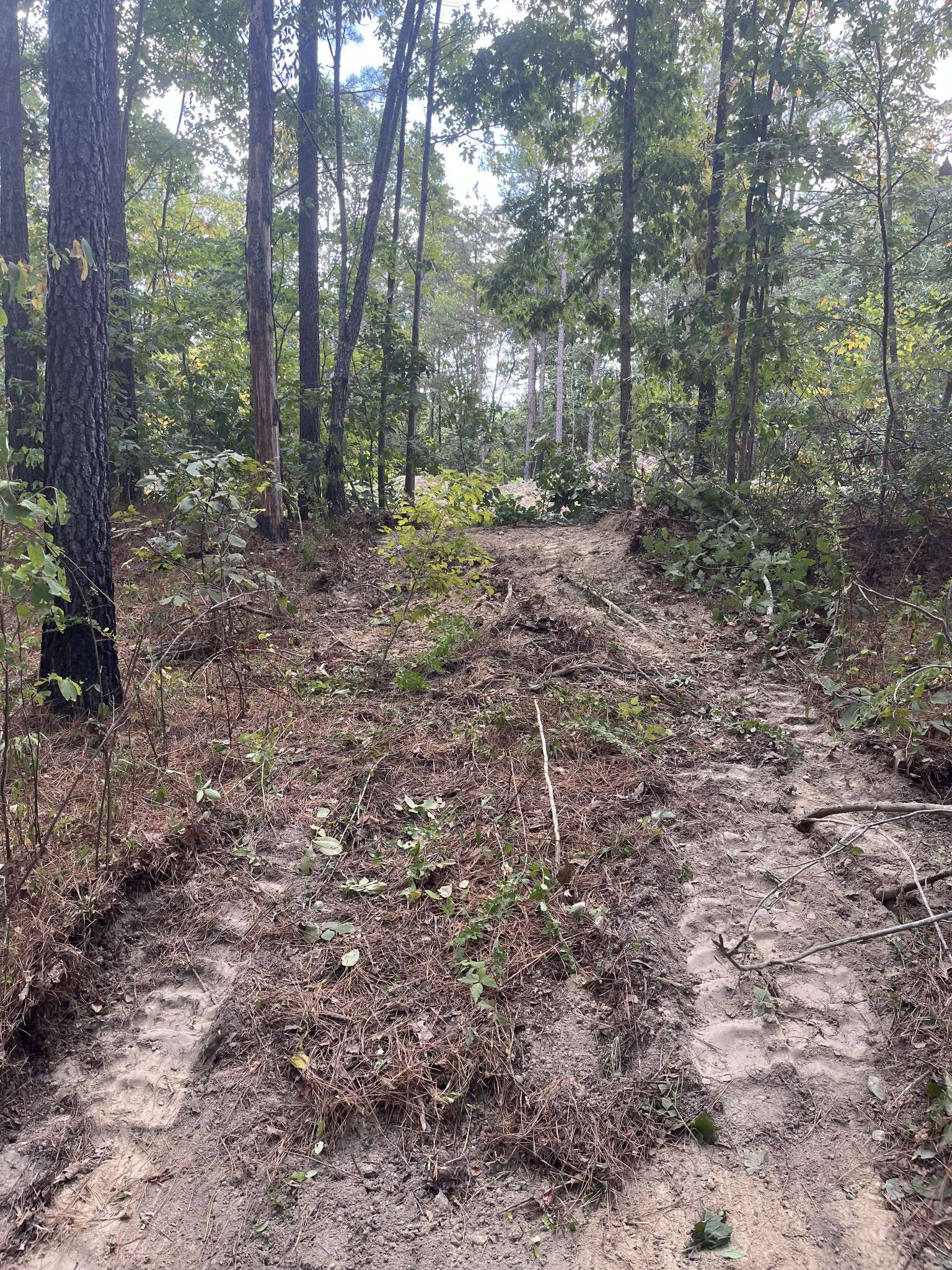 0 Old Mail Road, Duck River, TN 38454