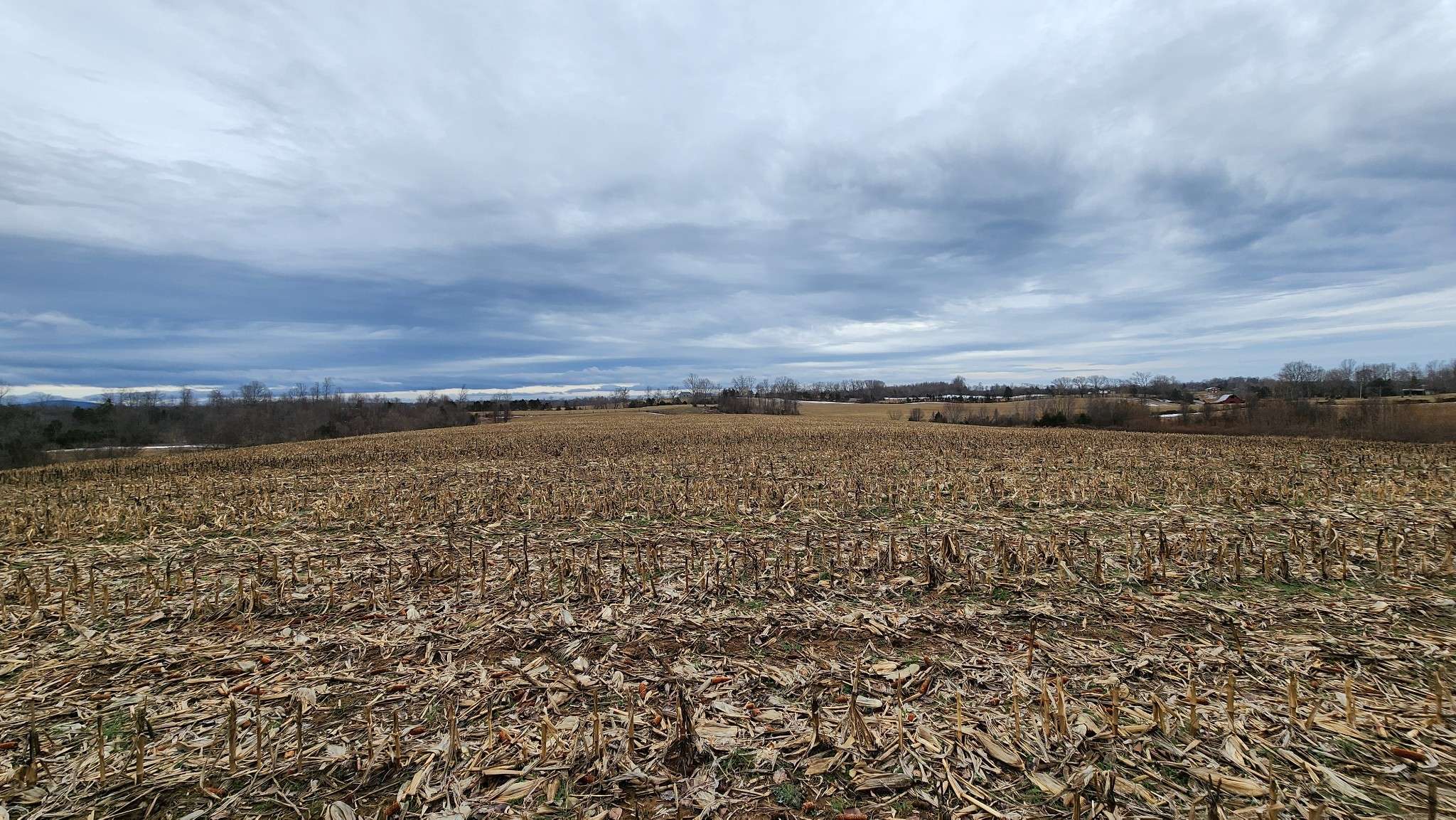 55 Indian Mound Rd, Sparta, TN 38583