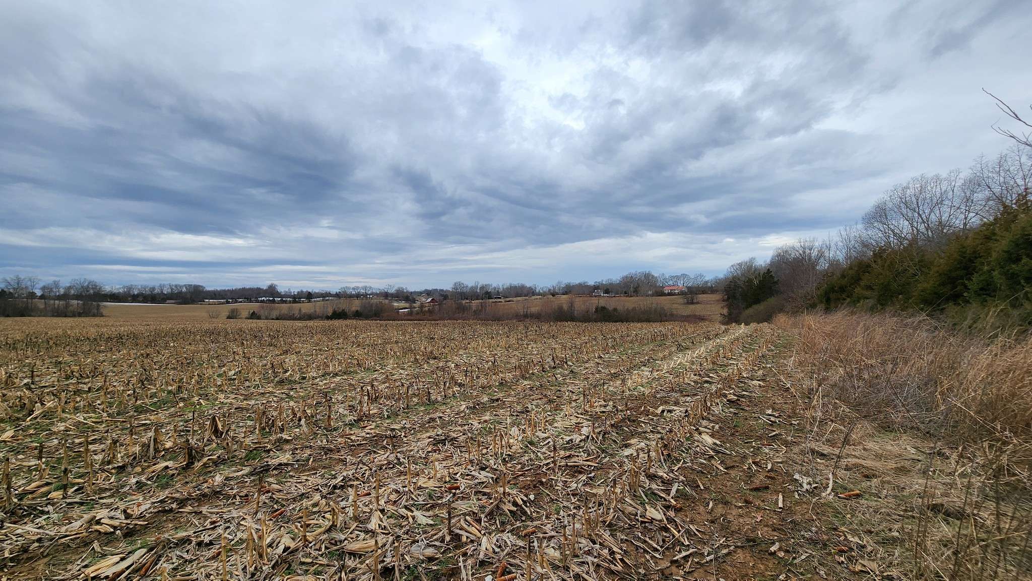 55 Indian Mound Rd, Sparta, TN 38583
