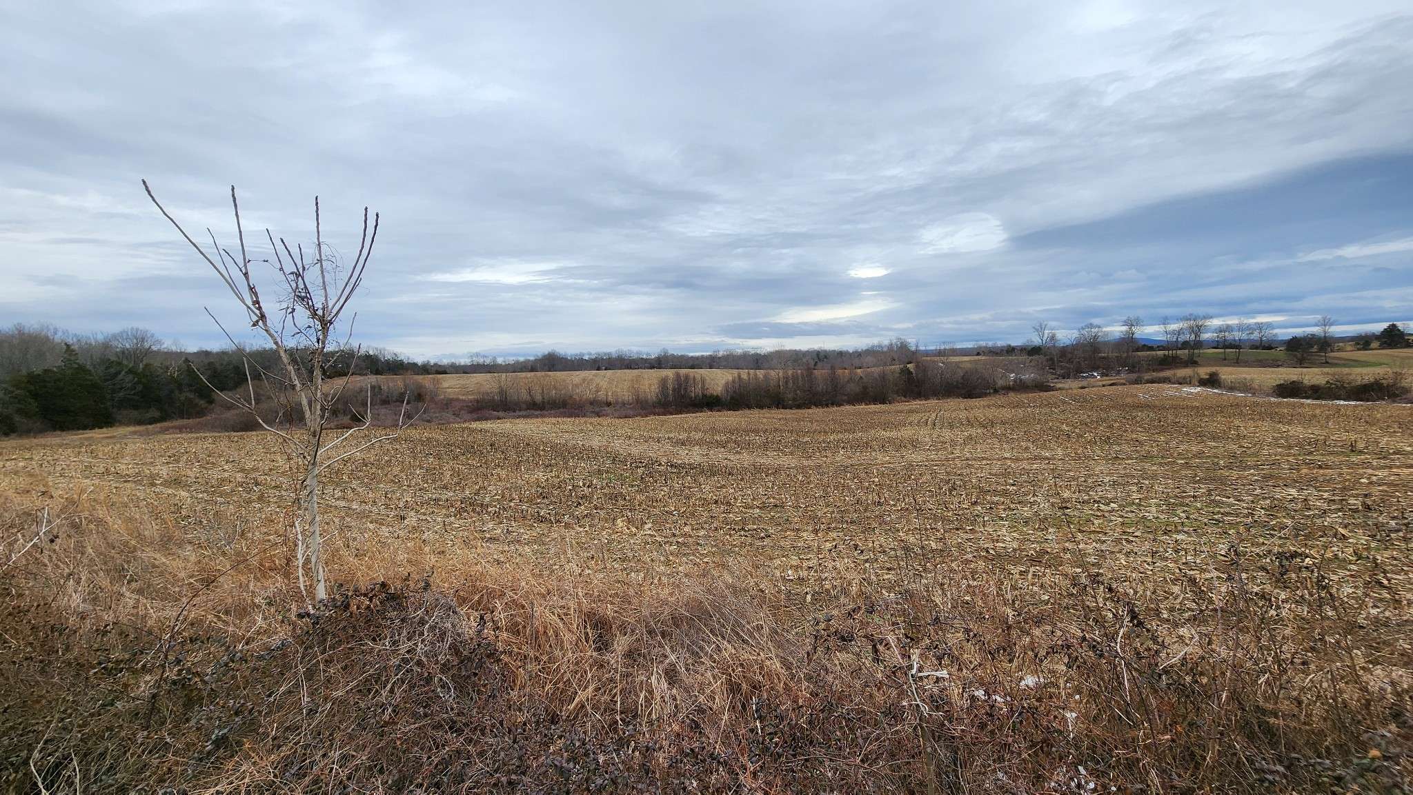 55 Indian Mound Rd, Sparta, TN 38583