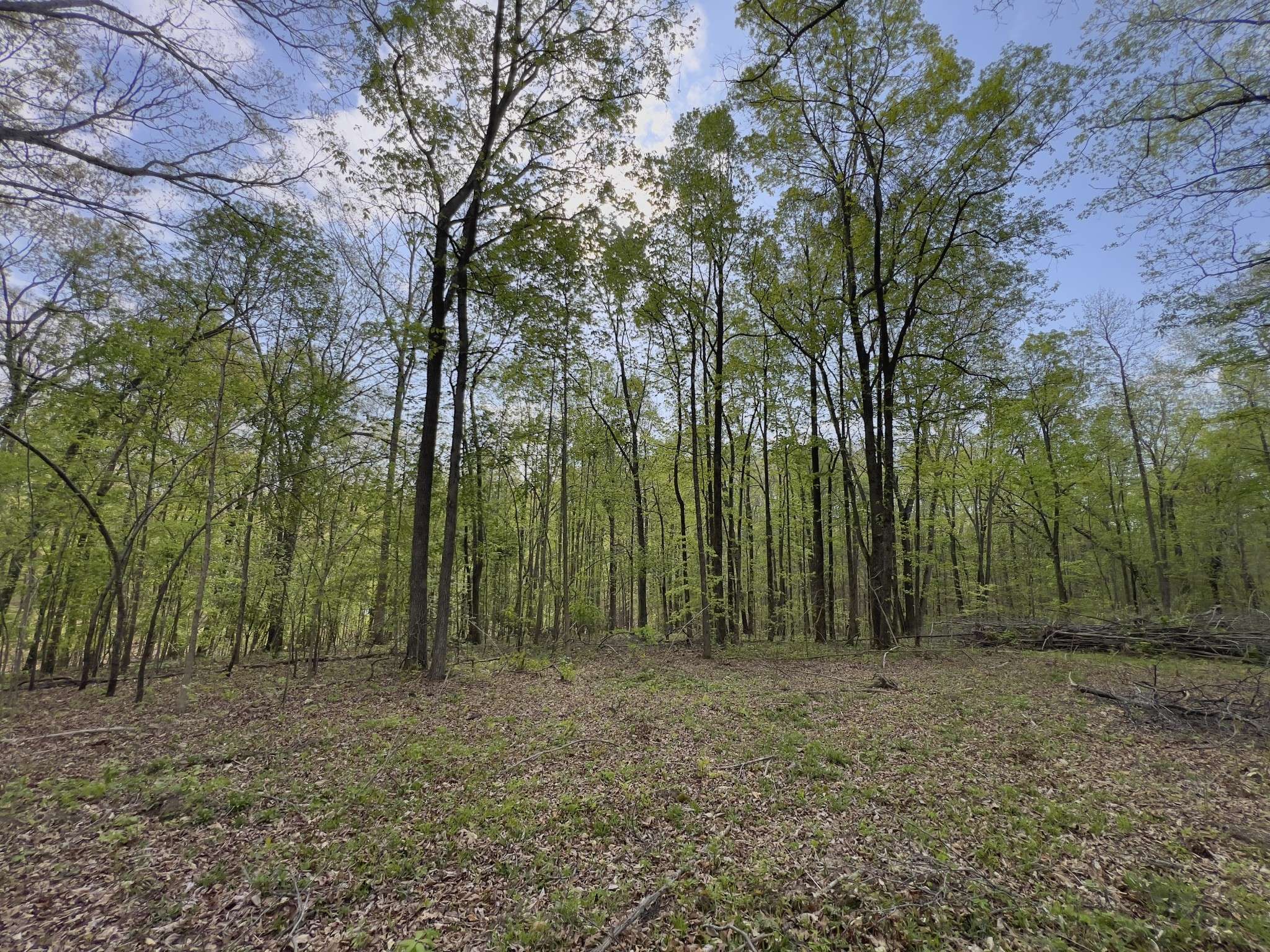 0 Valley Road, Fairview, TN 37062