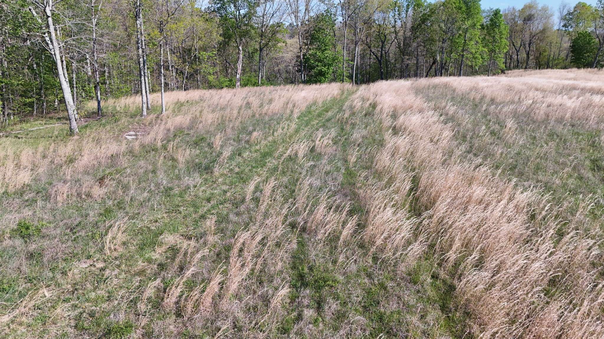 0 Hollow Creek Lane, Clarkrange, TN 38553
