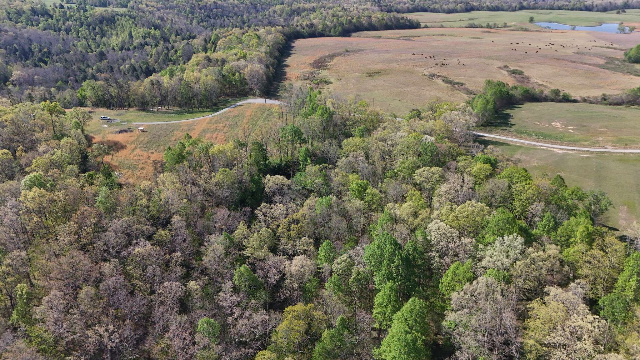0 Hollow Creek Lane, Clarkrange, TN 38553
