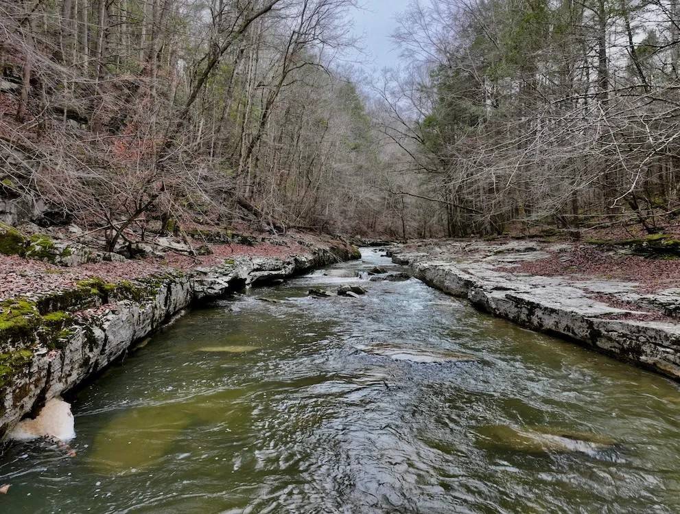 0 Hollow Creek Lane, Clarkrange, TN 38553