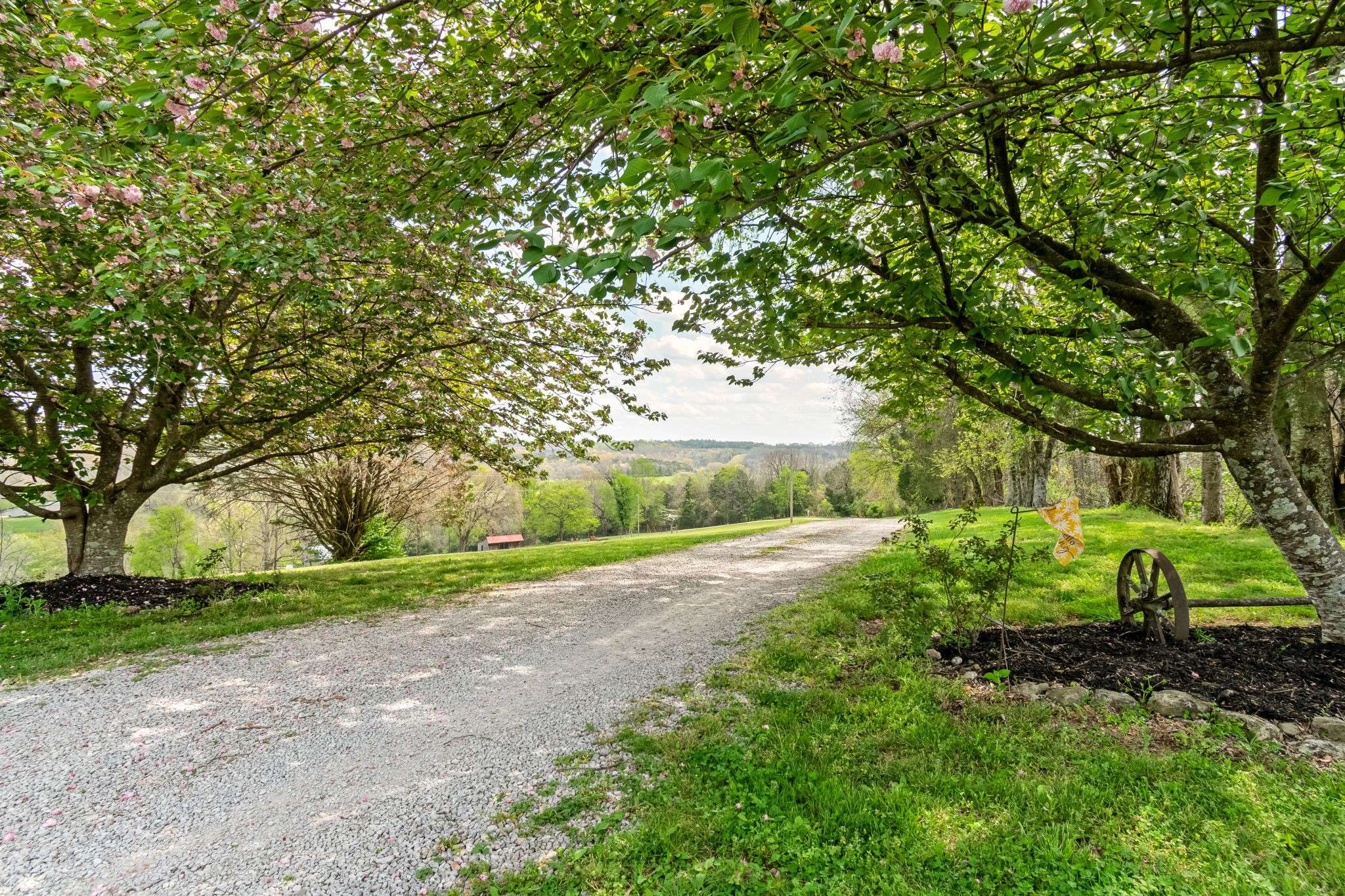 5123 Steam Mill Hollow Rd, Williamsport, TN 38487