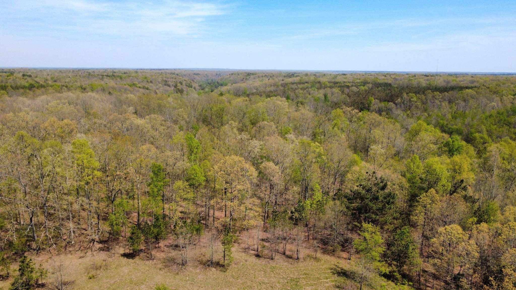 0 Mill Ave, Hohenwald, TN 38462