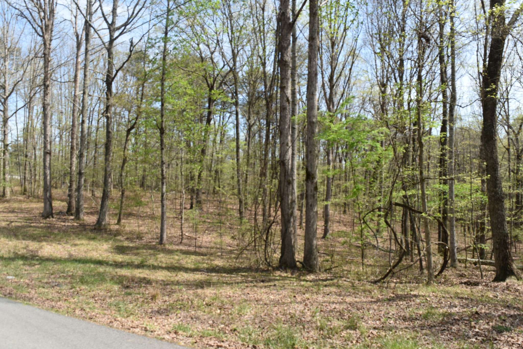 490 Haynes Rd, Sewanee, TN 37375