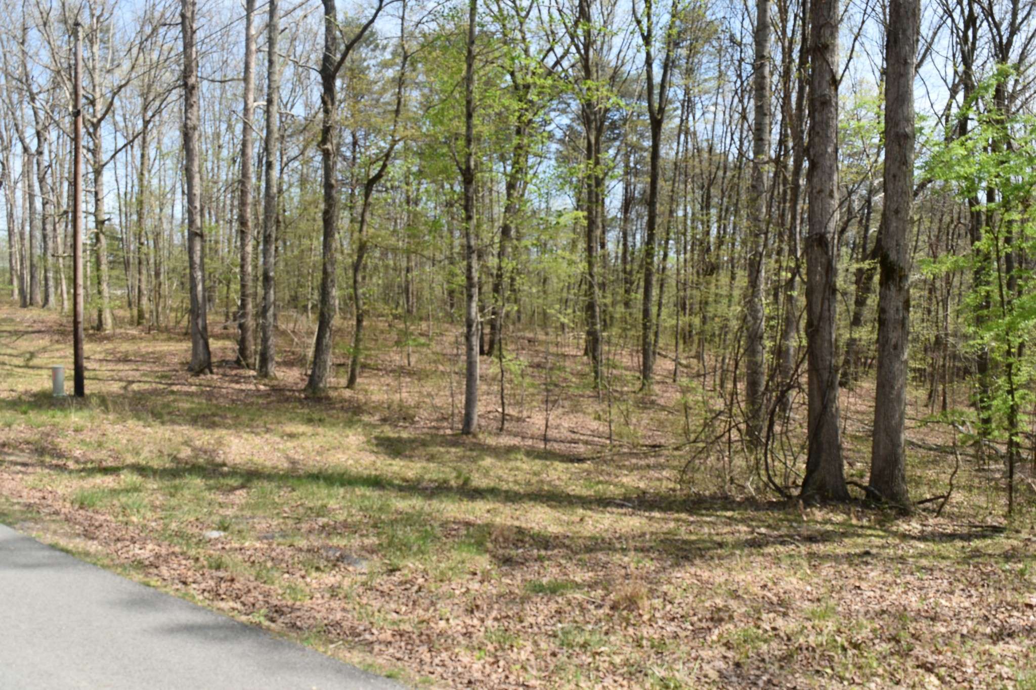 490 Haynes Rd, Sewanee, TN 37375