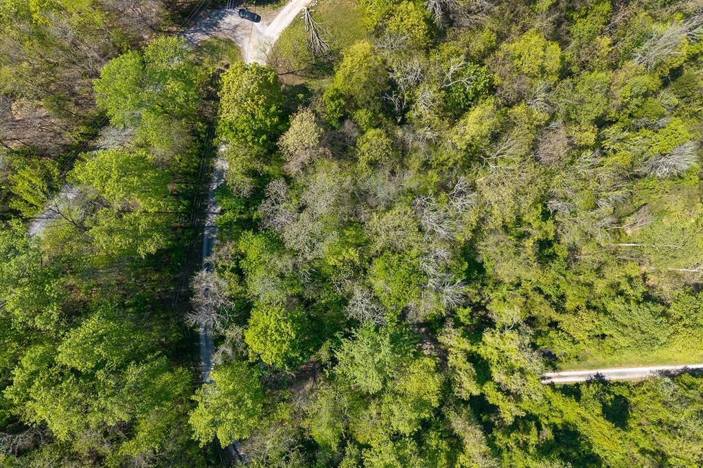 588 Austin Btm, Baxter, TN 38544