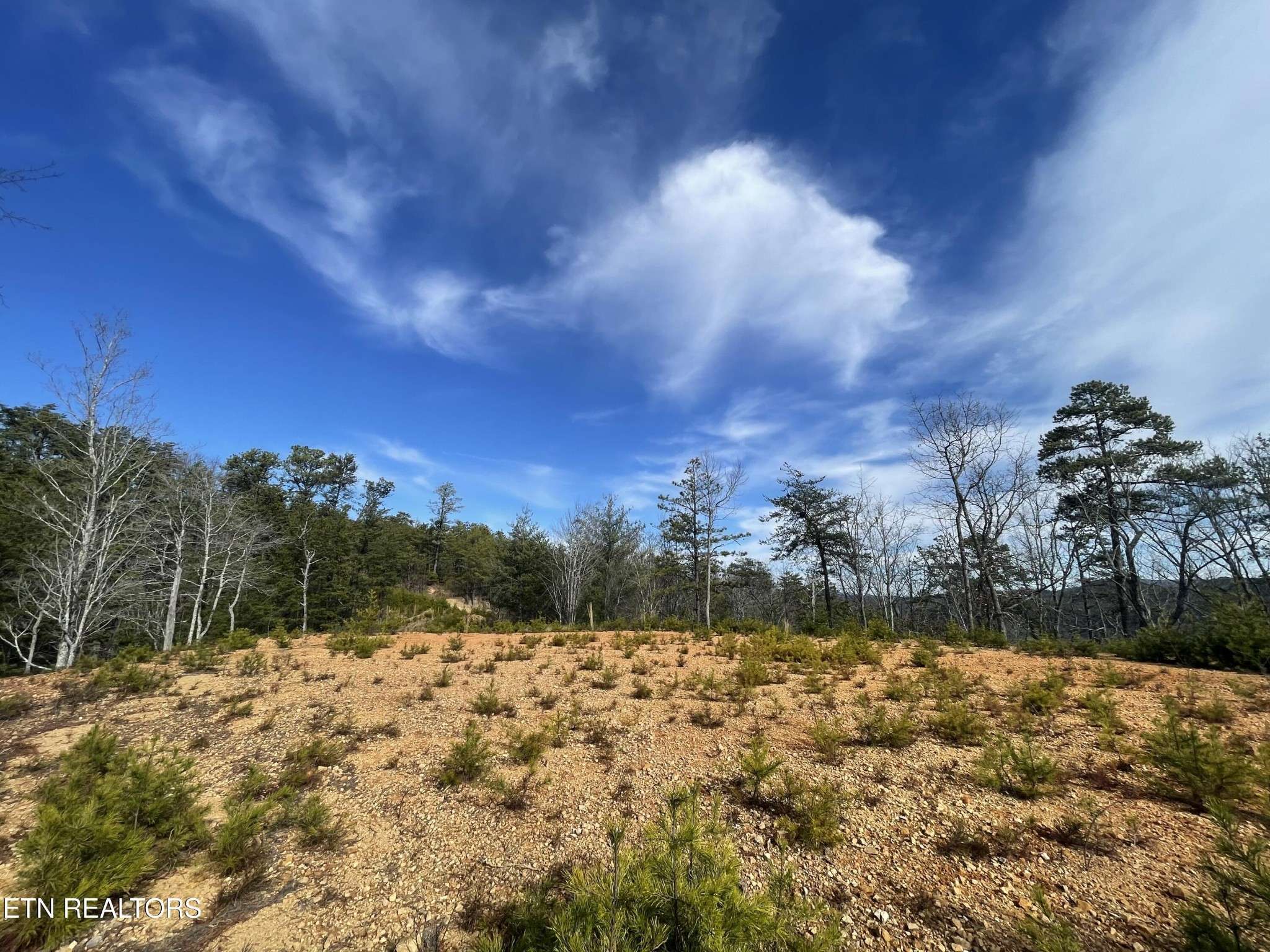 36 Bullet Mountain Drive, Tellico Plains, TN 37385