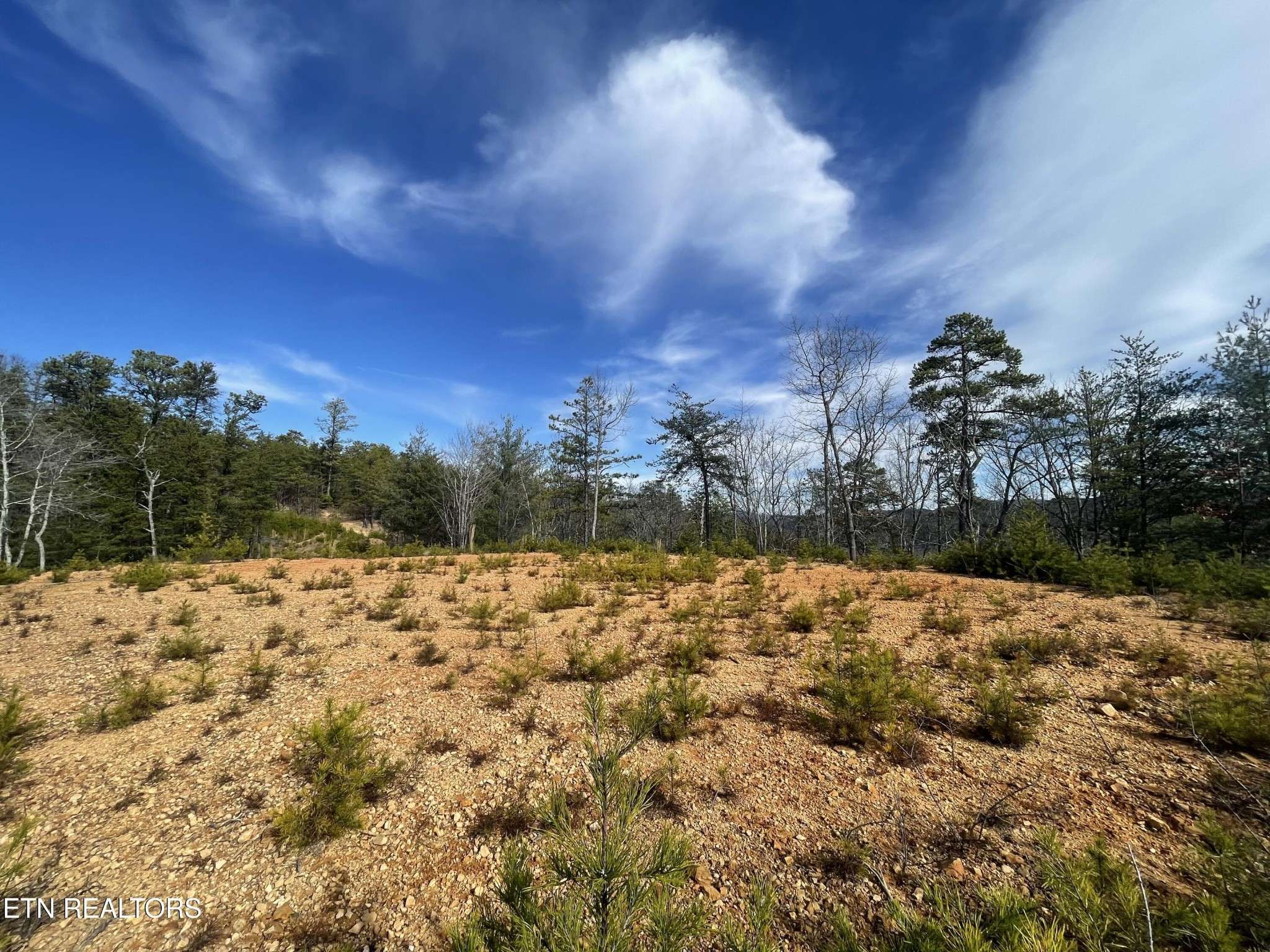 36 Bullet Mountain Drive, Tellico Plains, TN 37385