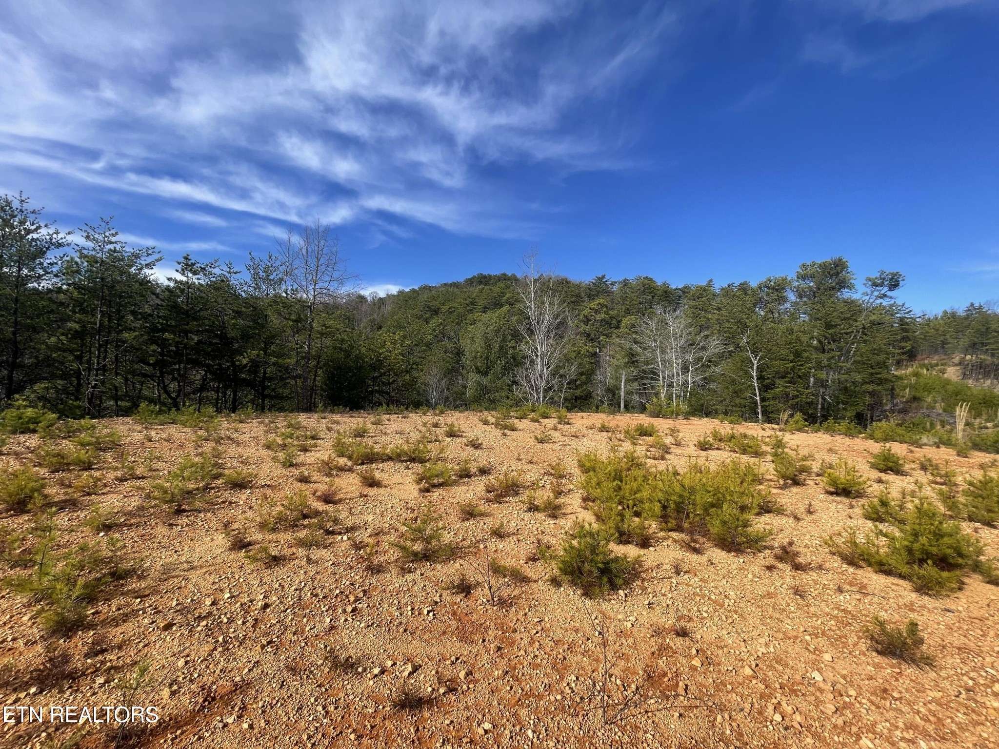 36 Bullet Mountain Drive, Tellico Plains, TN 37385