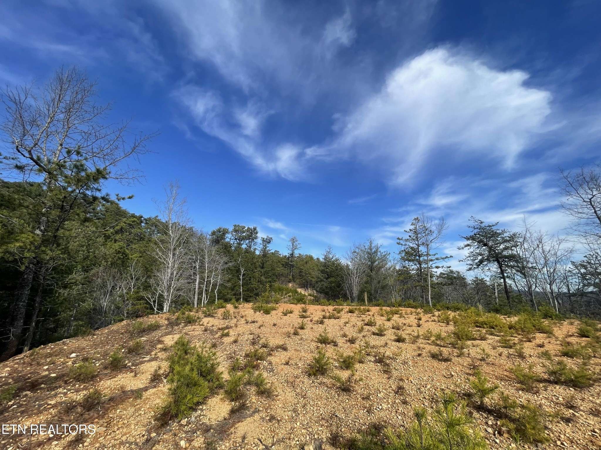 36 Bullet Mountain Drive, Tellico Plains, TN 37385