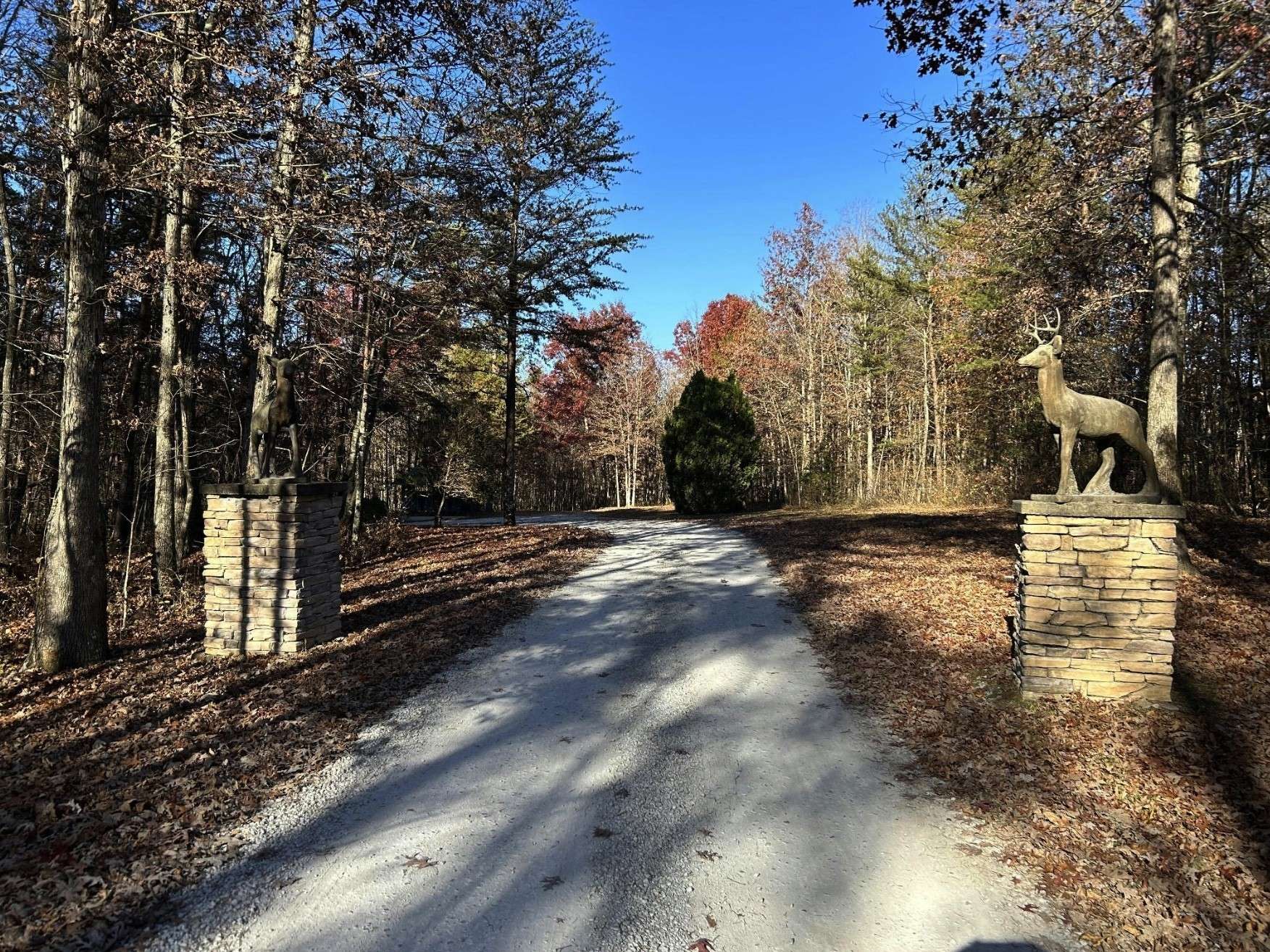 0 Boulder Lake Dr, Coalmont, TN 37313