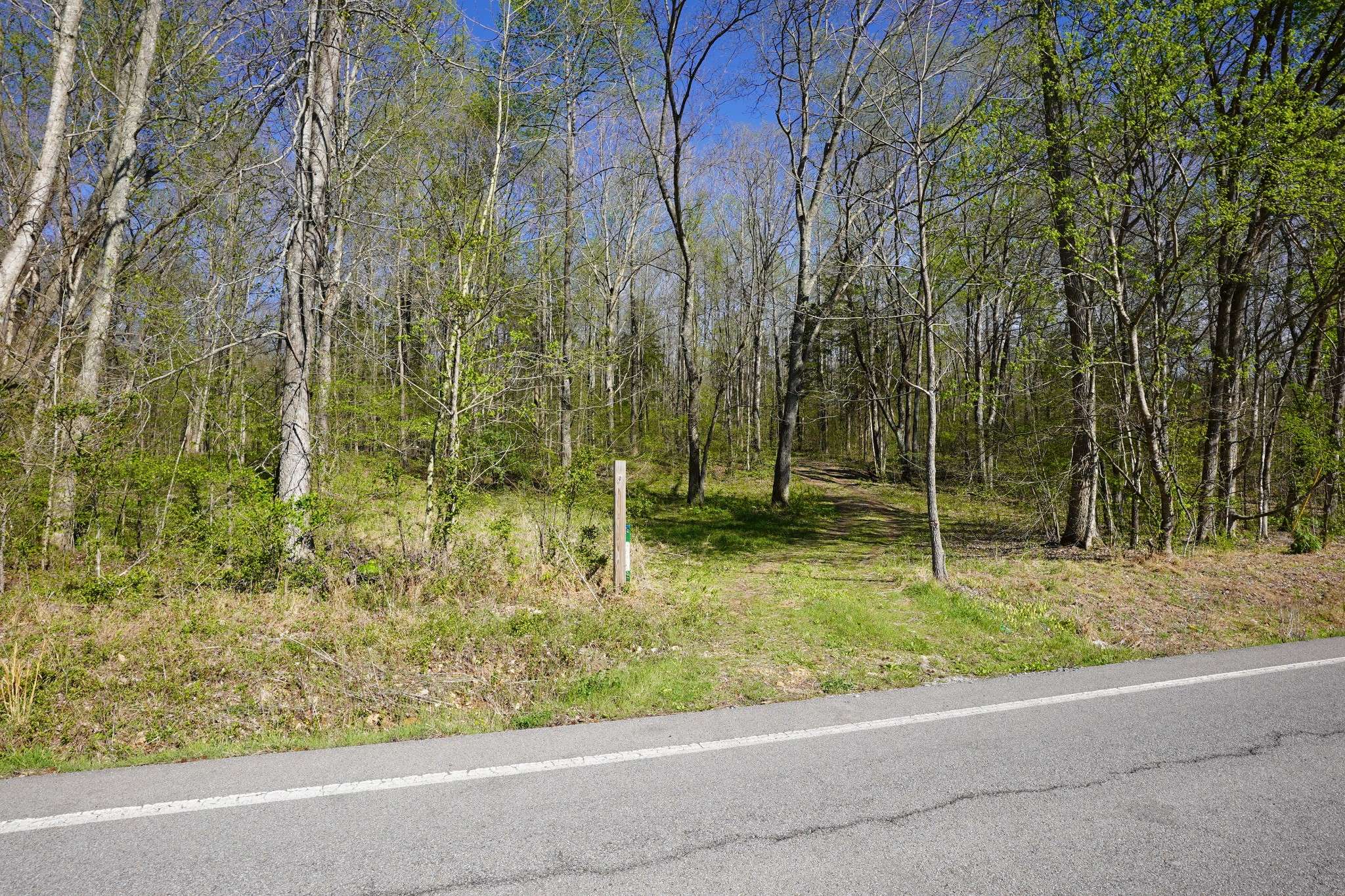 4219 Hwy 49, Tennessee Ridge, TN 37178