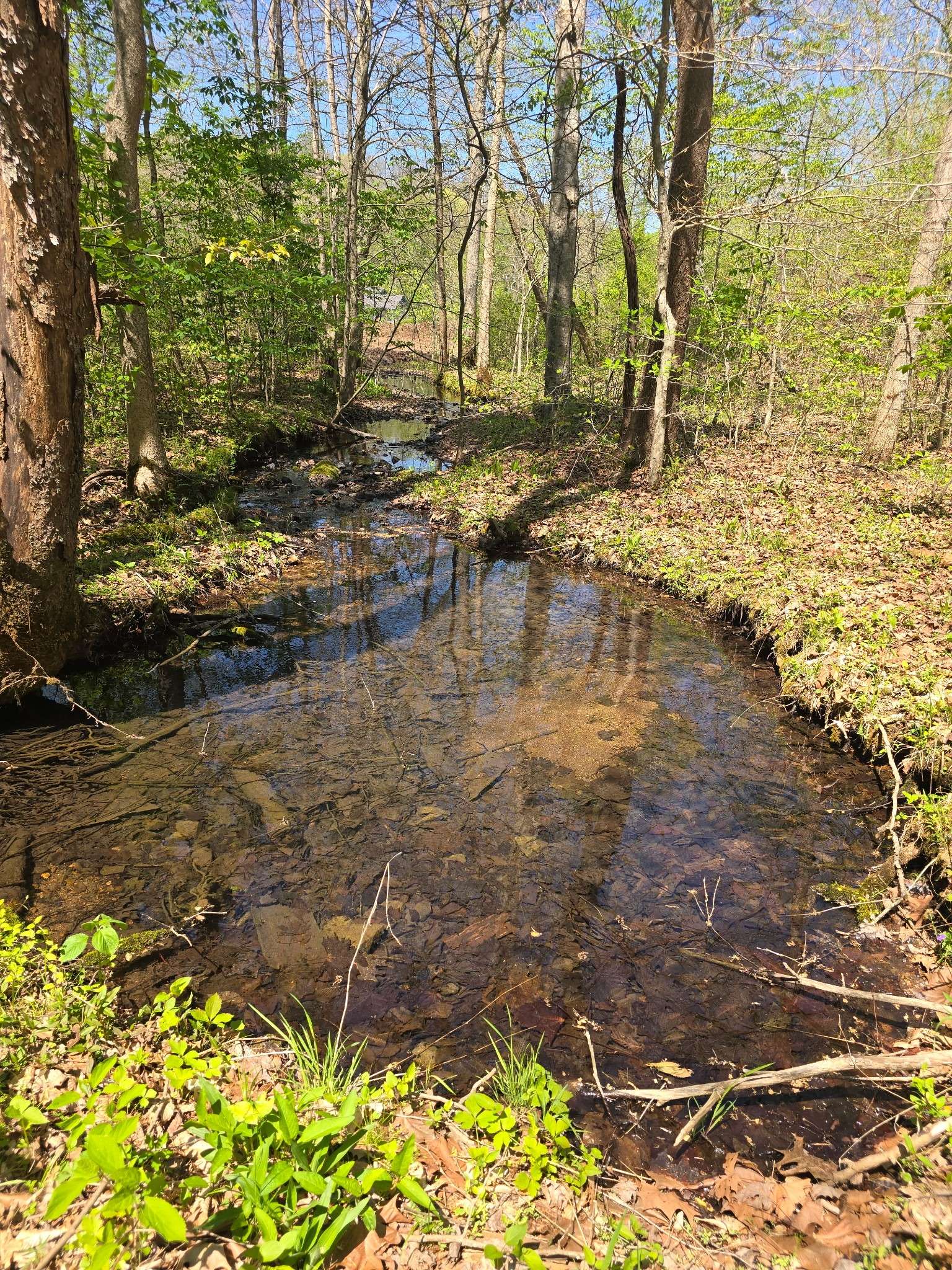 4149 Hwy 49, Tennessee Ridge, TN 37178
