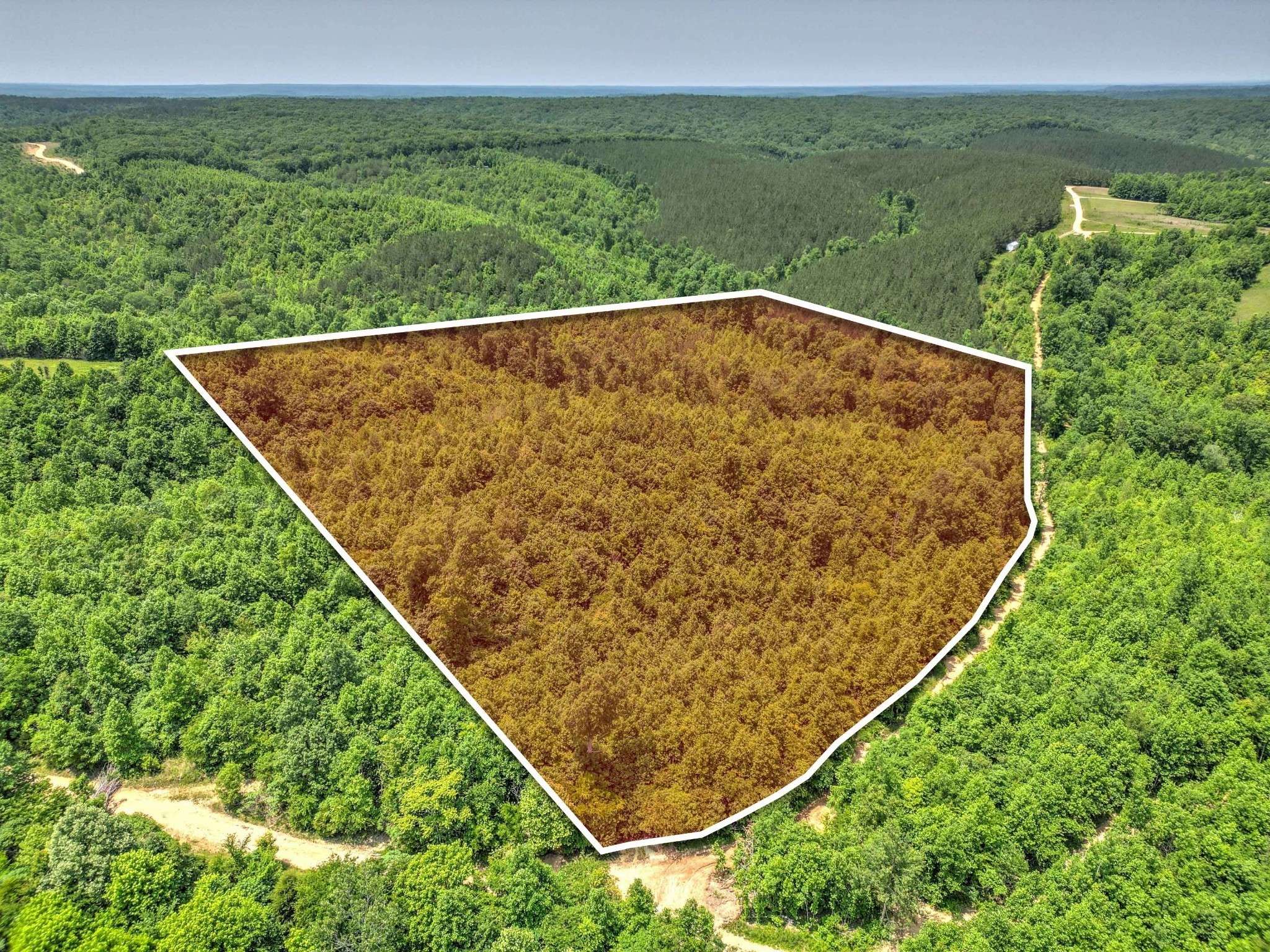 0 Ridgetop Rd, Hampshire, TN 38461