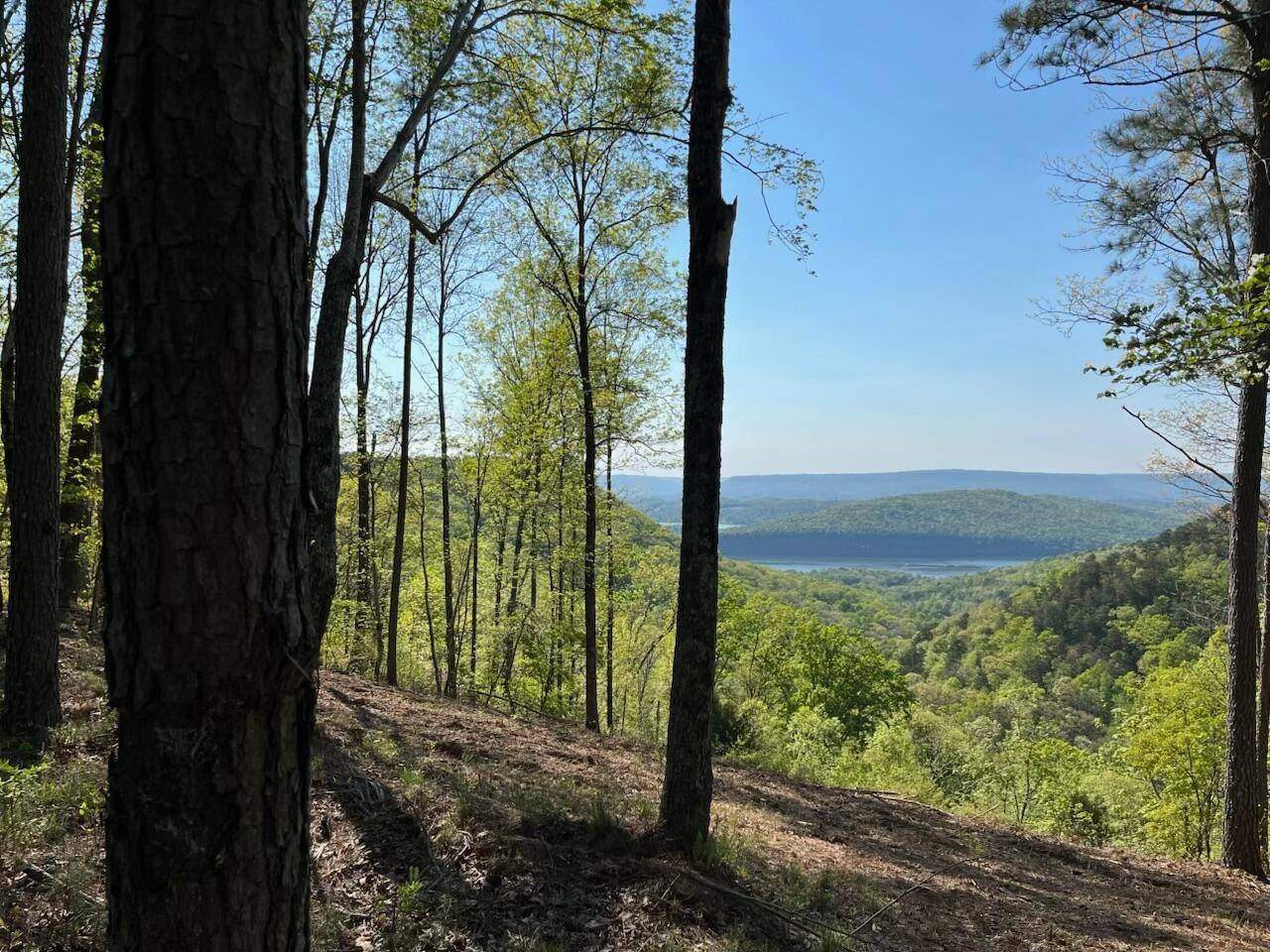 1755 Birds Eye Way, Guild, TN 37340