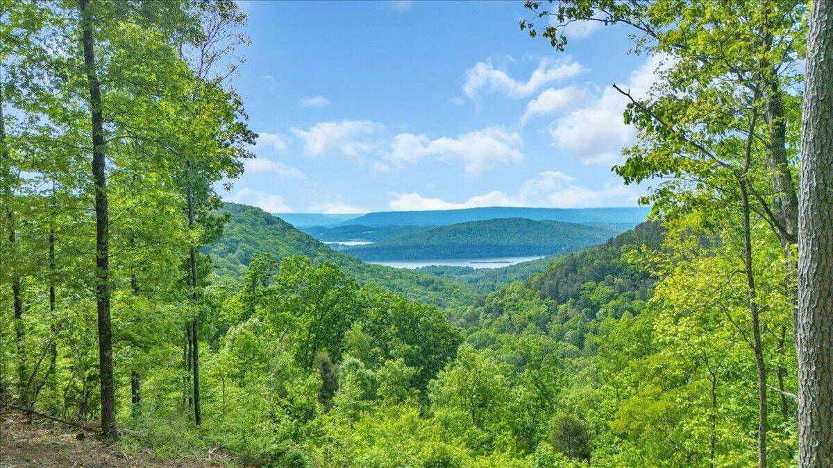 1755 Birds Eye Way, Guild, TN 37340