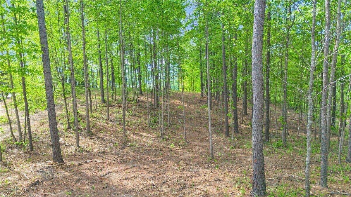 1755 Birds Eye Way, Guild, TN 37340