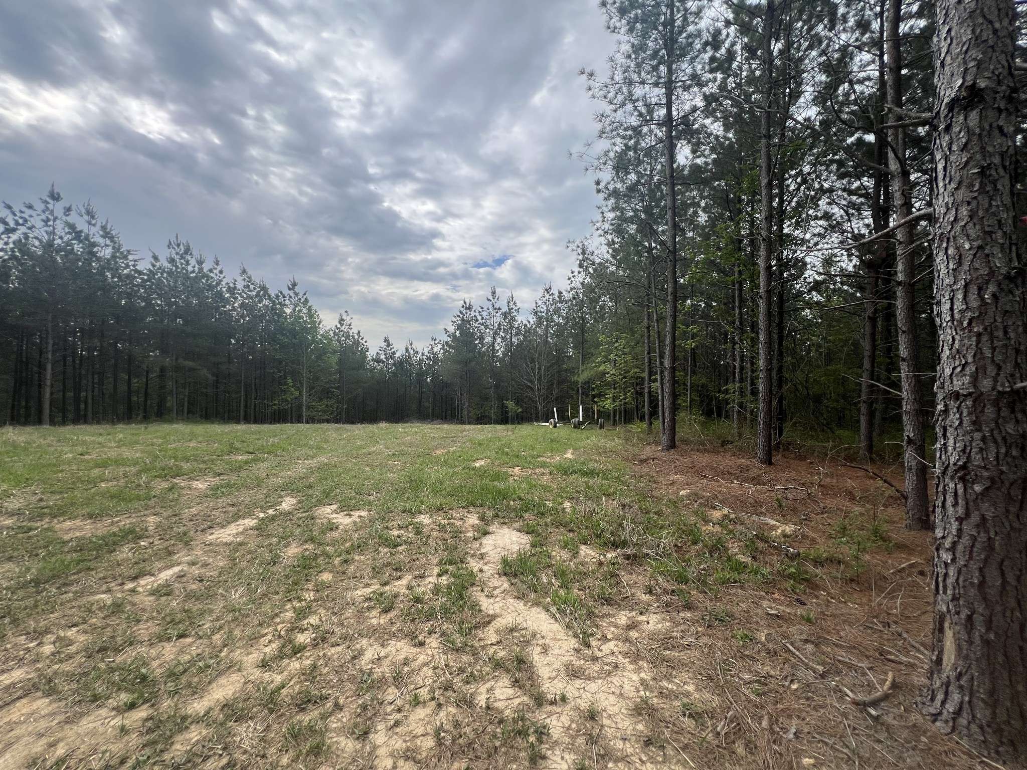 36 Pafford Lane, Erin, TN 37061