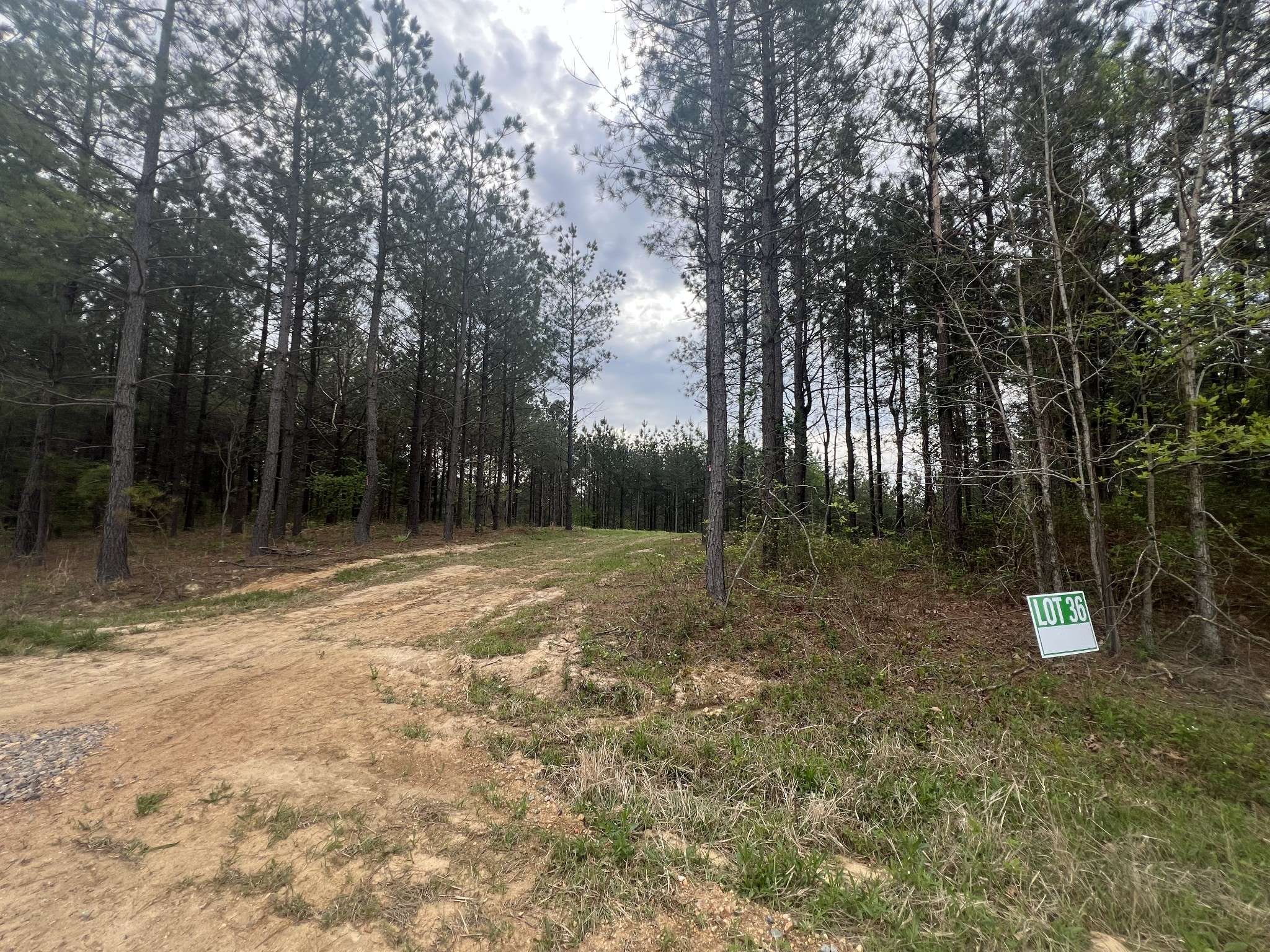 36 Pafford Lane, Erin, TN 37061