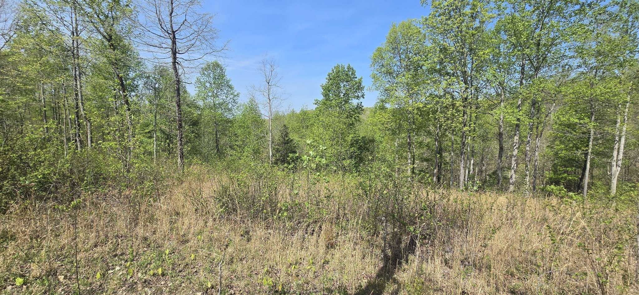 360 James Zimmerman Rd, Hampshire, TN 38461
