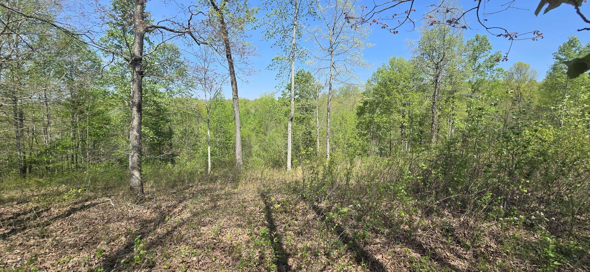 360 James Zimmerman Rd, Hampshire, TN 38461