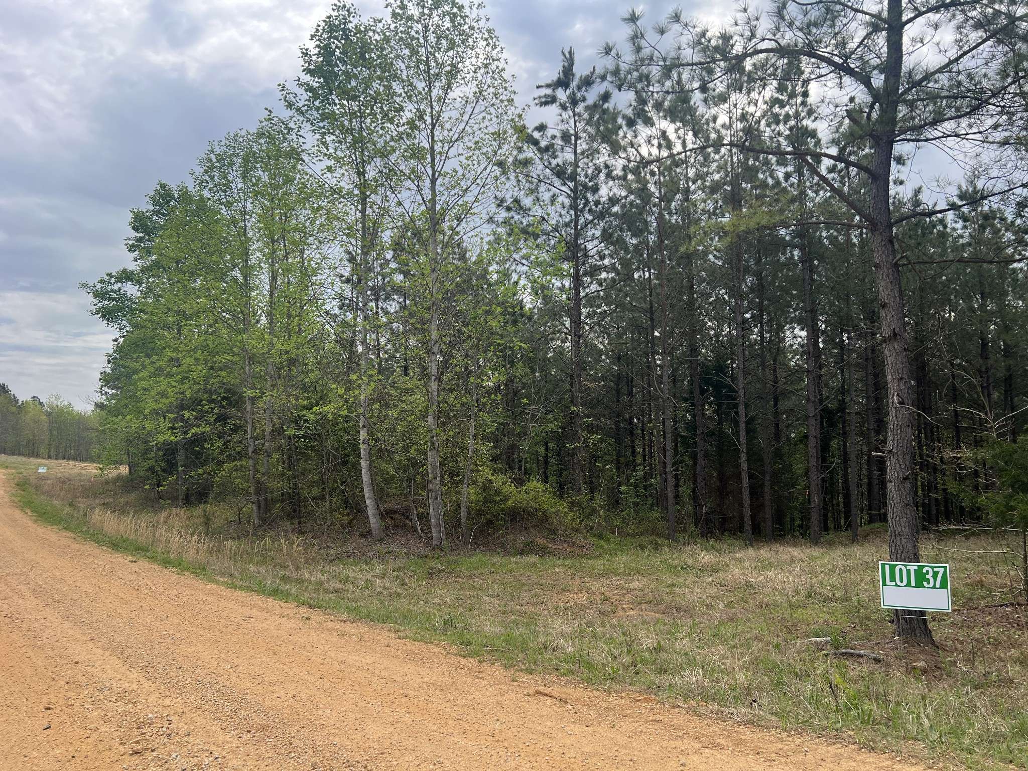 37 Pafford Lane, Erin, TN 37061