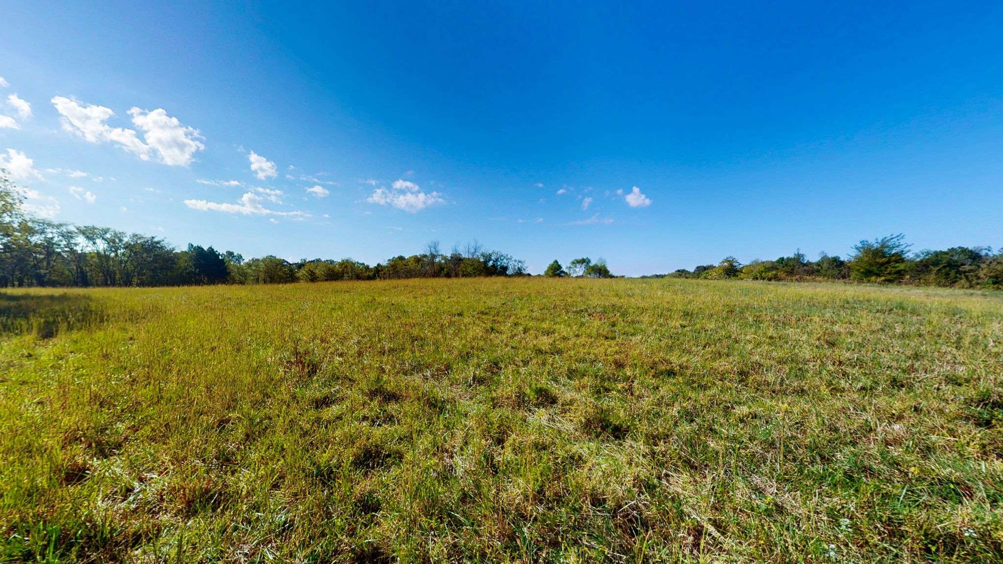 0 Old Murray Paris Rd, Puryear, TN 38251
