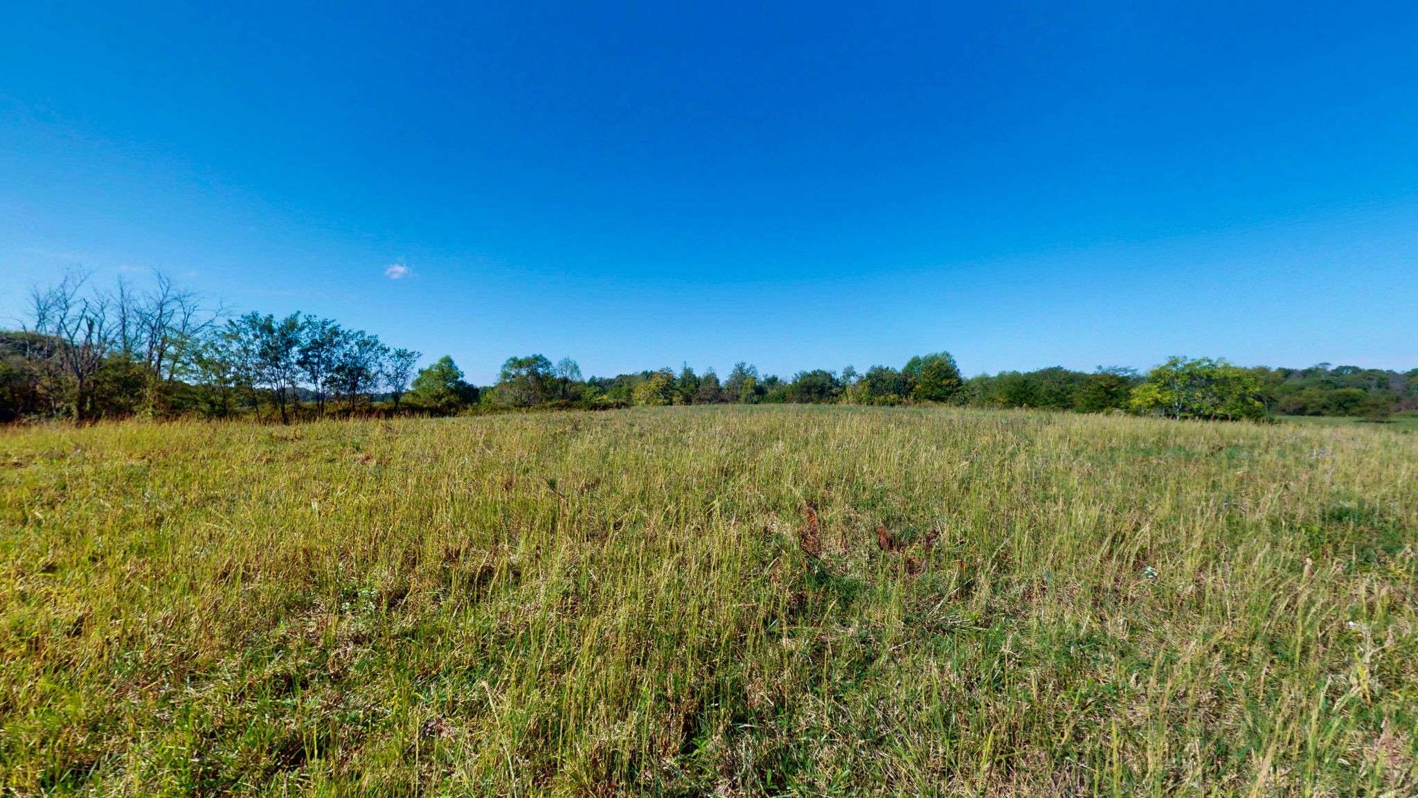 0 Old Murray Paris Rd, Puryear, TN 38251
