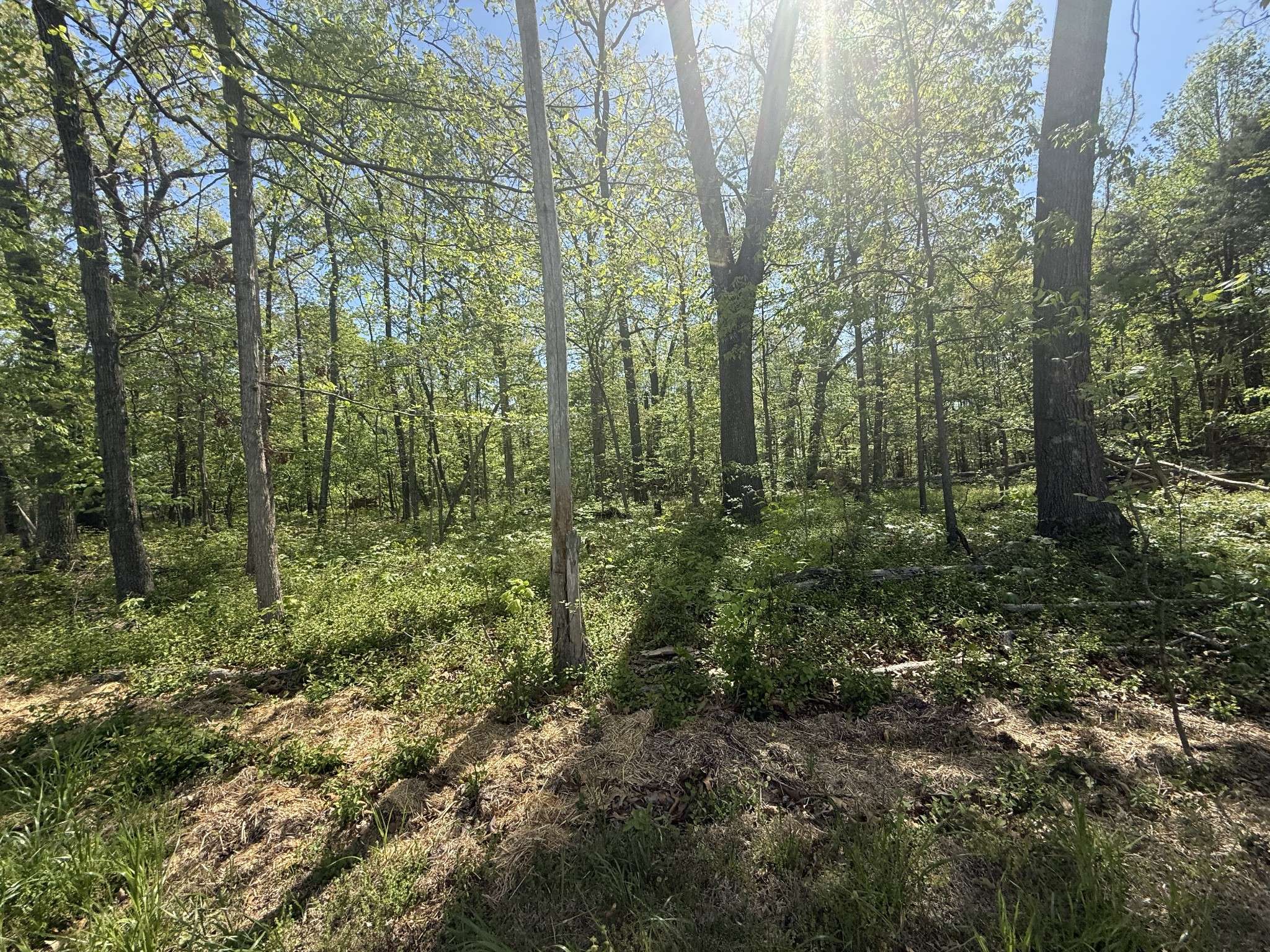 0 Dunbar Cave Rd, Clarksville, TN 37043