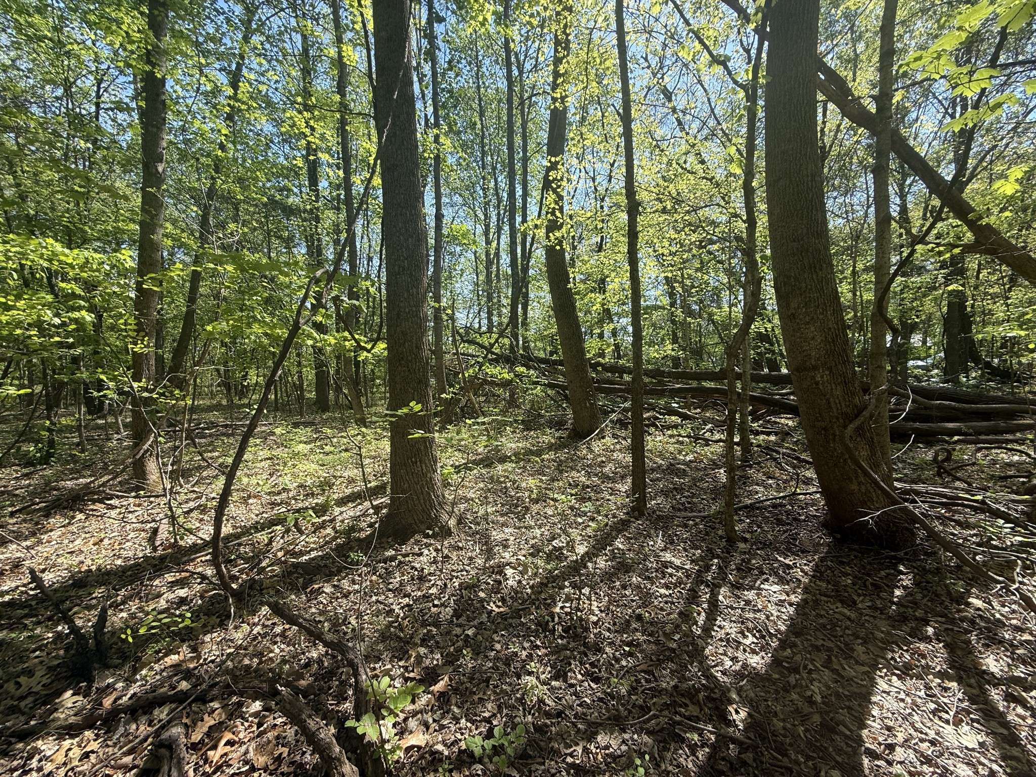 0 Dunbar Cave Rd, Clarksville, TN 37043