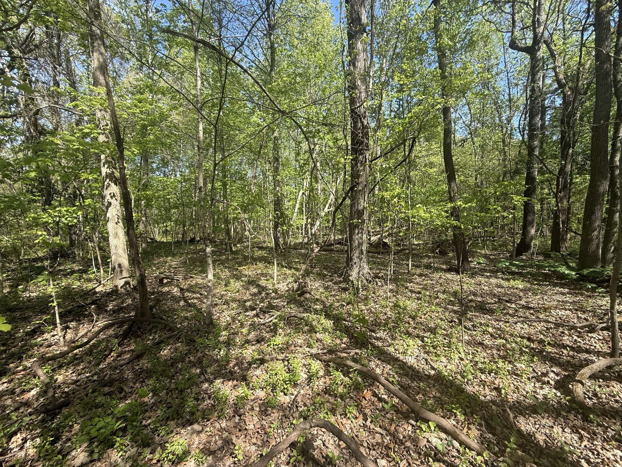 0 Dunbar Cave Rd, Clarksville, TN 37043