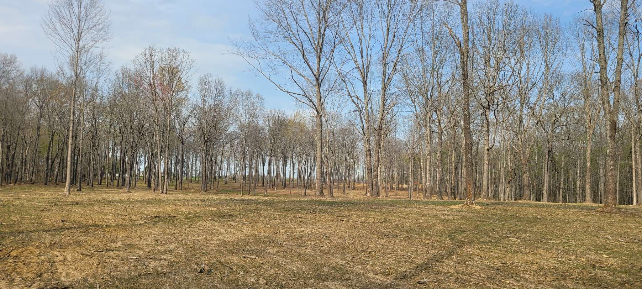 6 Goforth Rd, Morrison, TN 37357