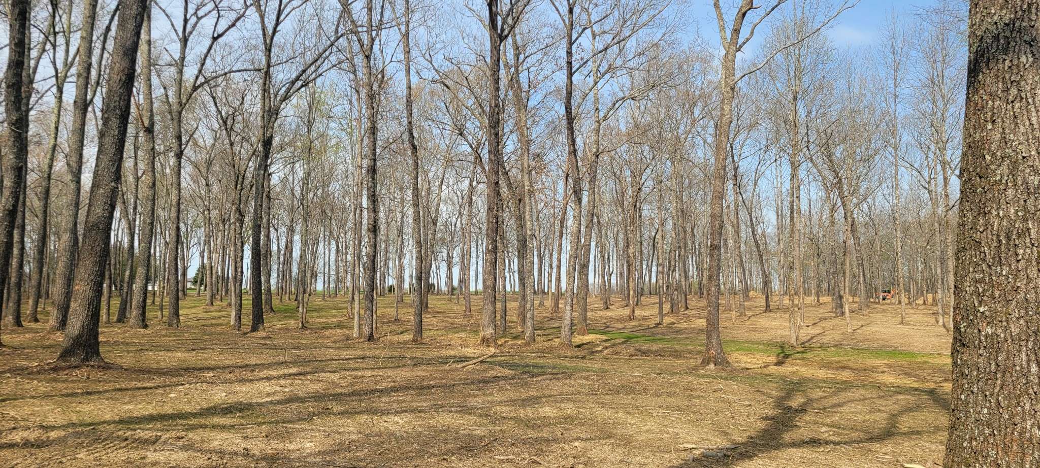 6 Goforth Rd, Morrison, TN 37357