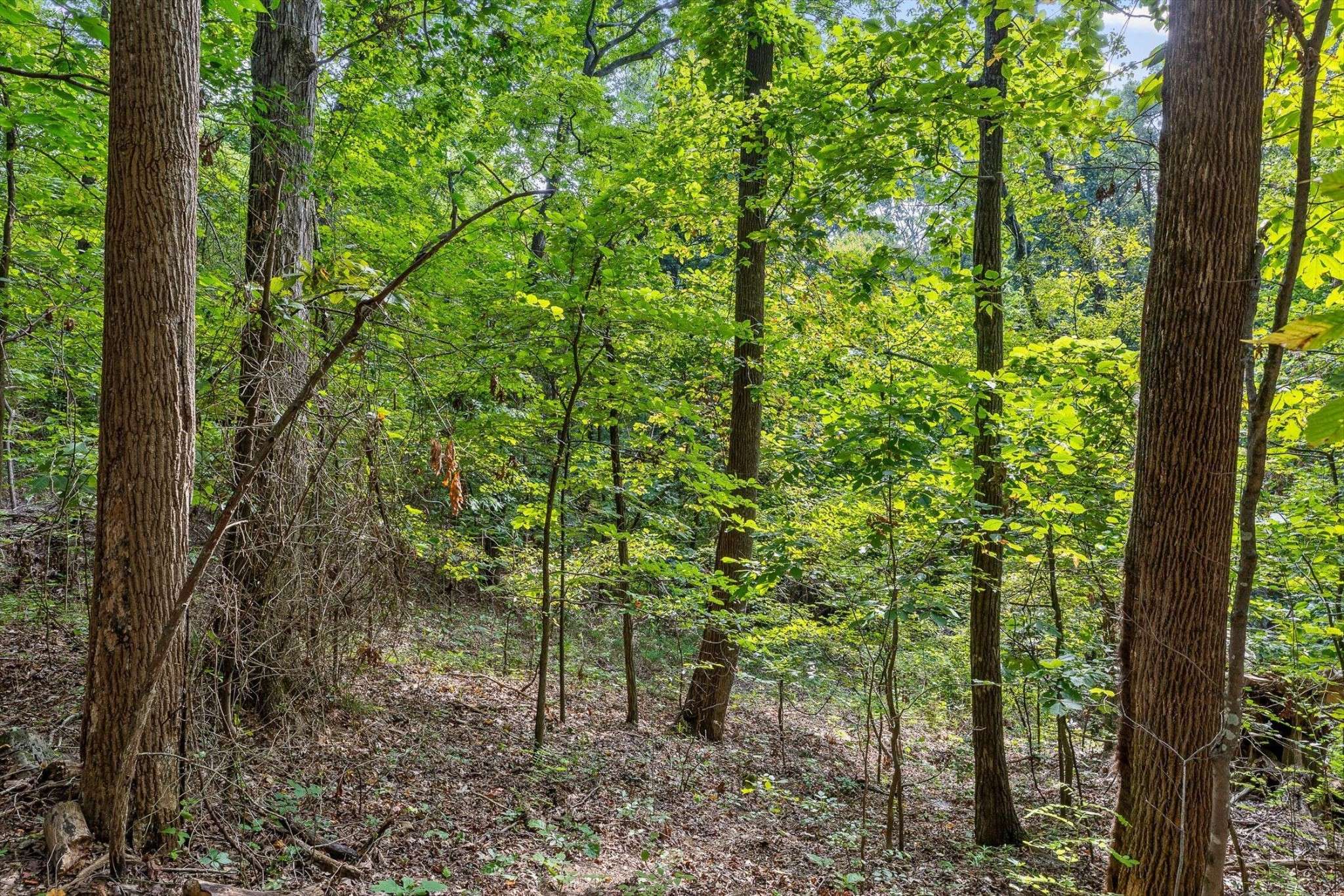 2255 Nickajack Road, Flintstone, GA 30725