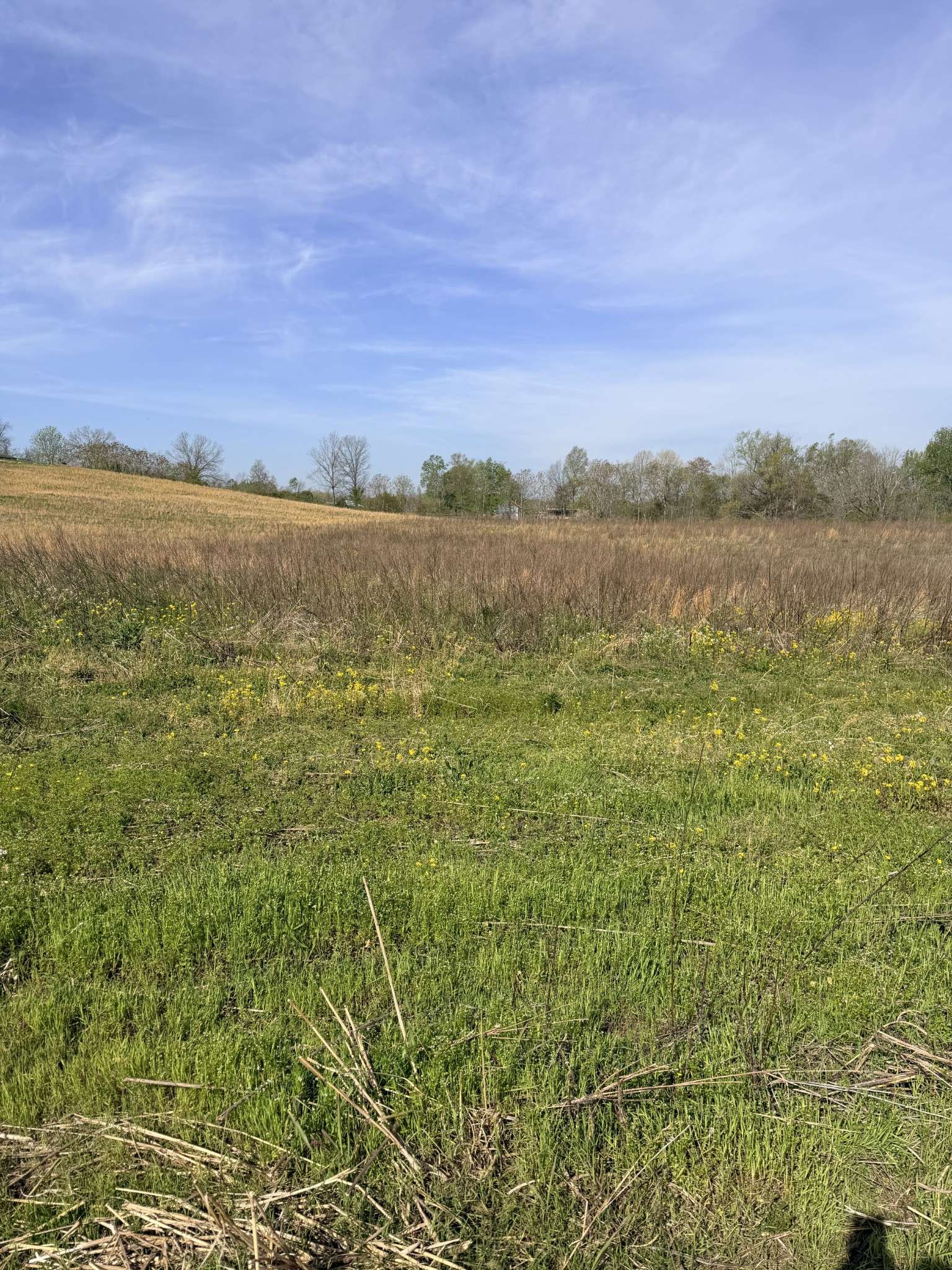 0 Oakmere Ln, Lafayette, TN 37083