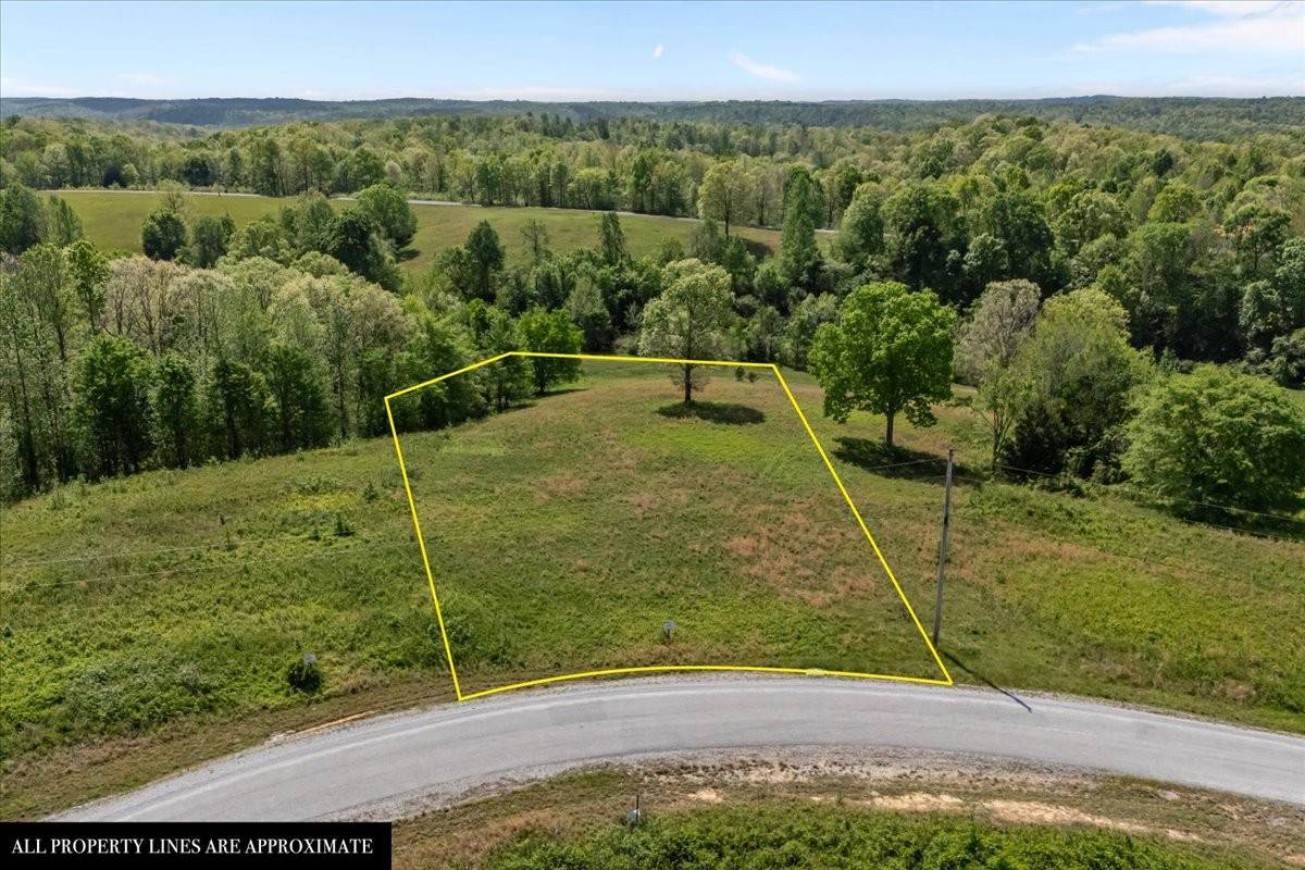 0 Blackhawk Ct, Waverly, TN 37185