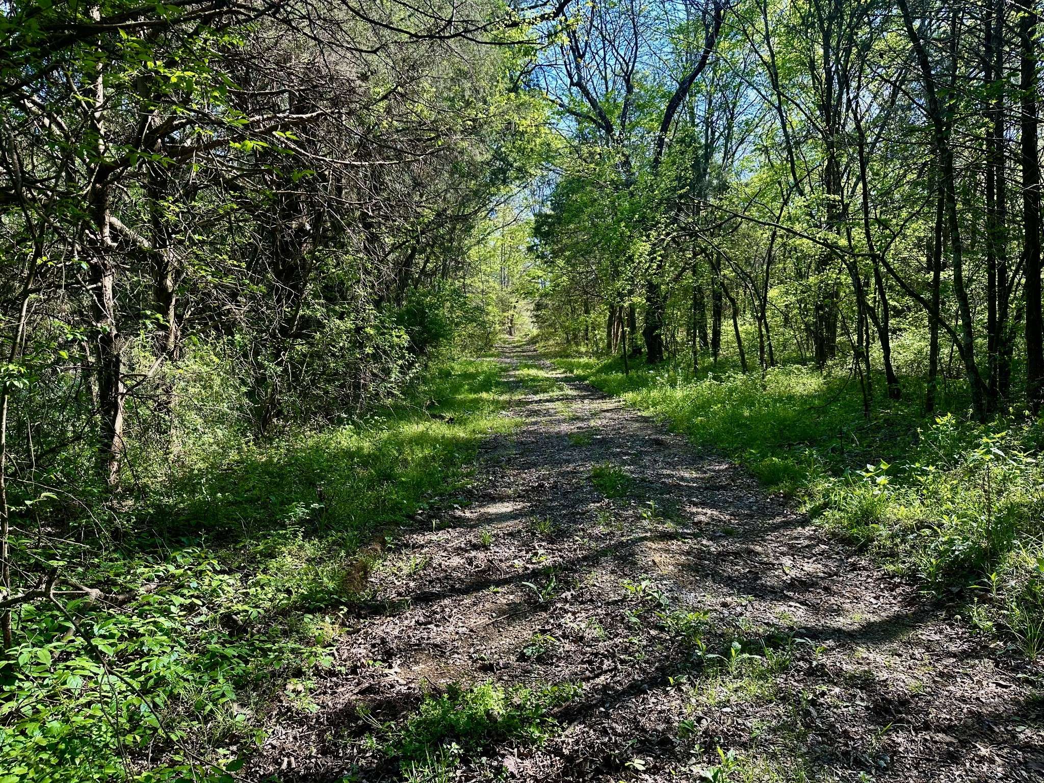 0 Cedar Grove Rd #S, Chapel Hill, TN 37034