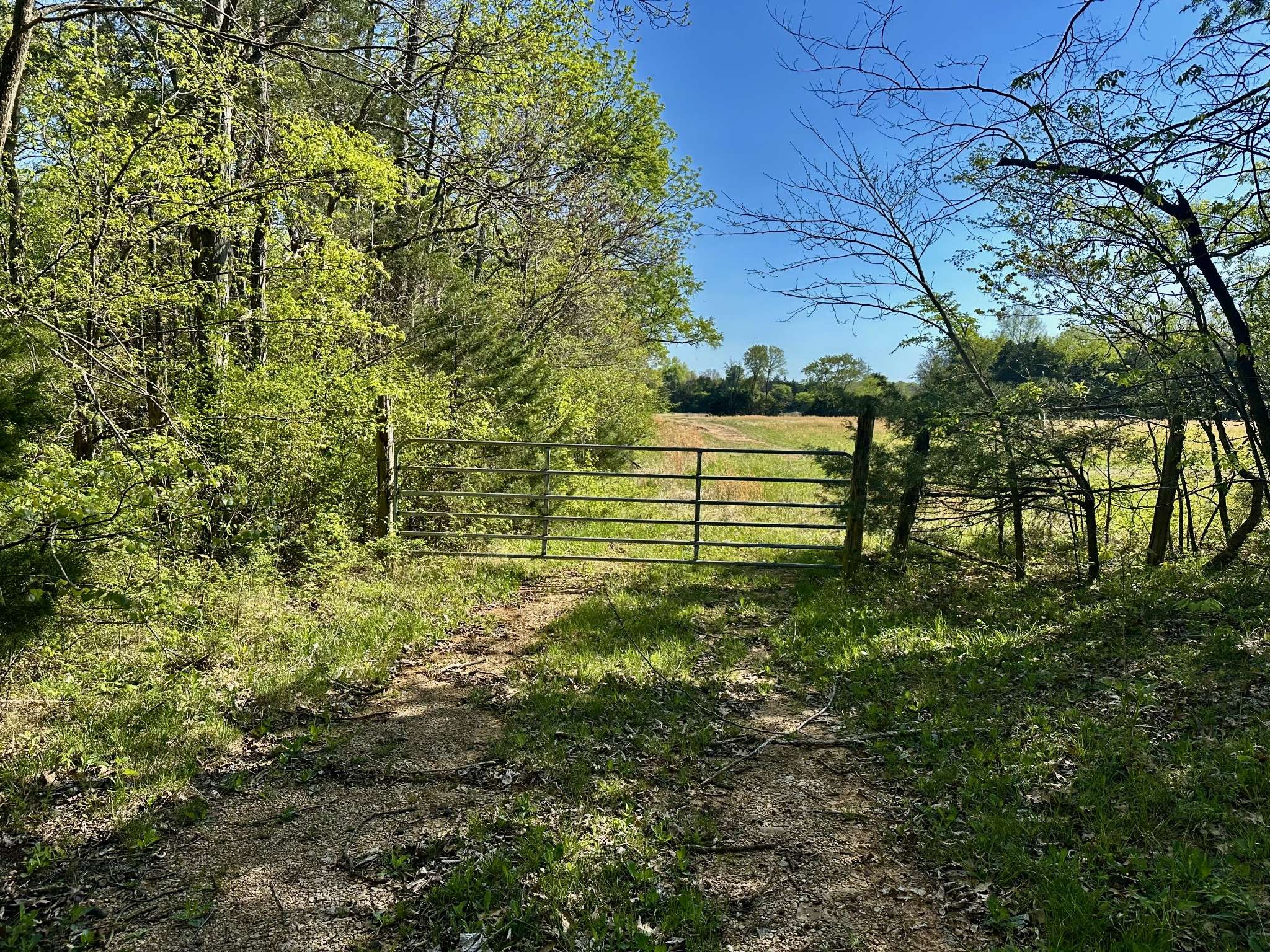0 Cedar Grove Rd #S, Chapel Hill, TN 37034