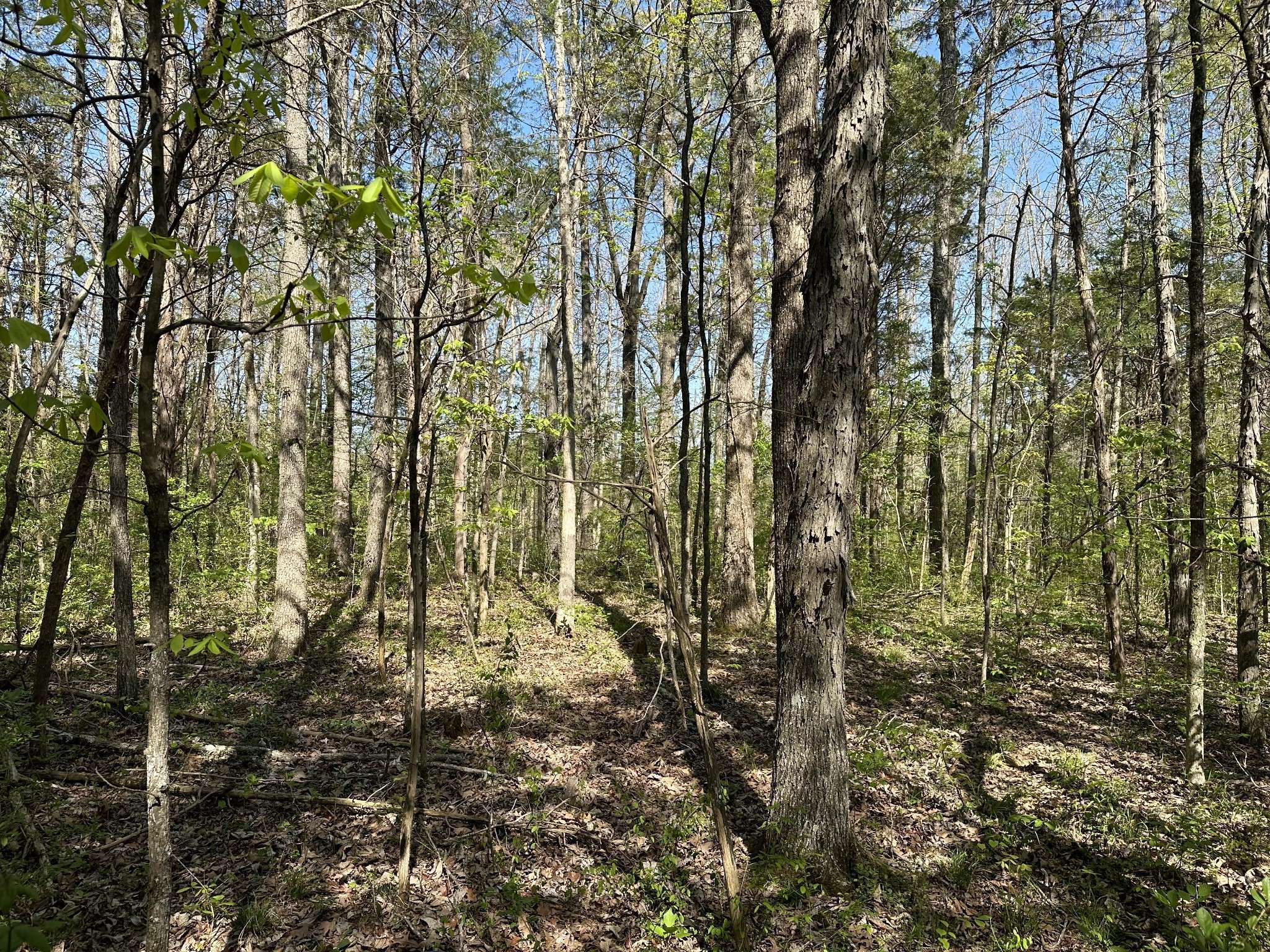 0 Cedar Grove Rd #S, Chapel Hill, TN 37034