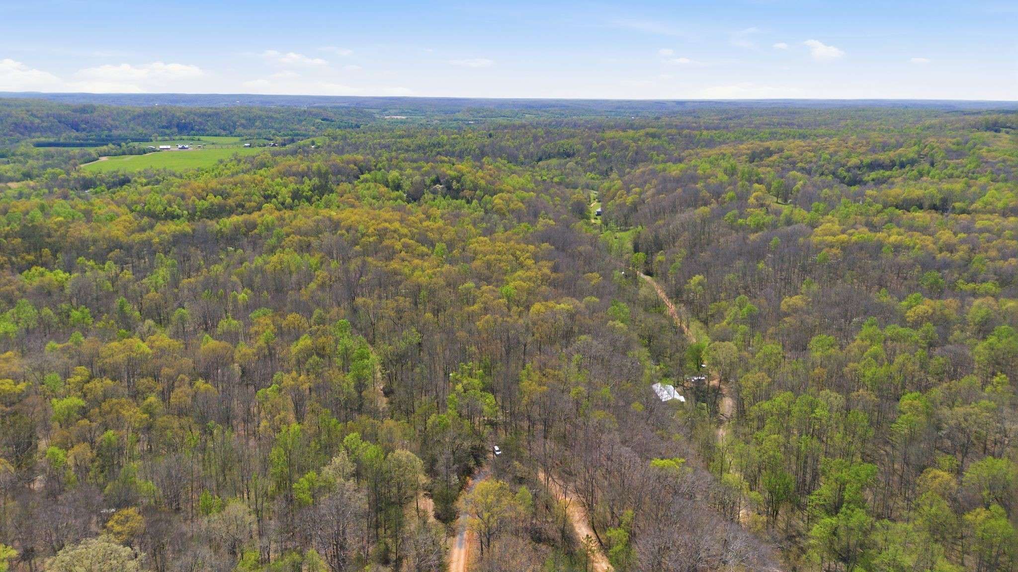 0 Opossum Hollow Rd, Primm Springs, TN 38476