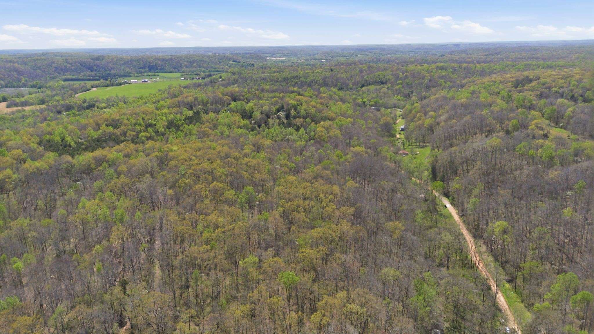 0 Opossum Hollow Rd, Primm Springs, TN 38476