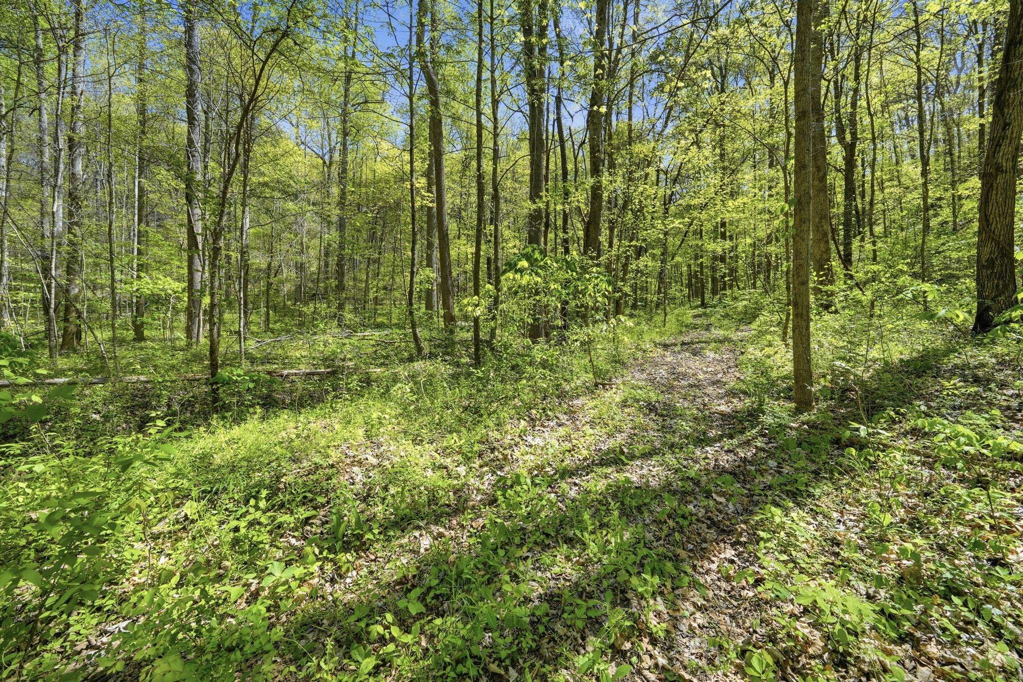 0 Green Road, Beechgrove, TN 37018