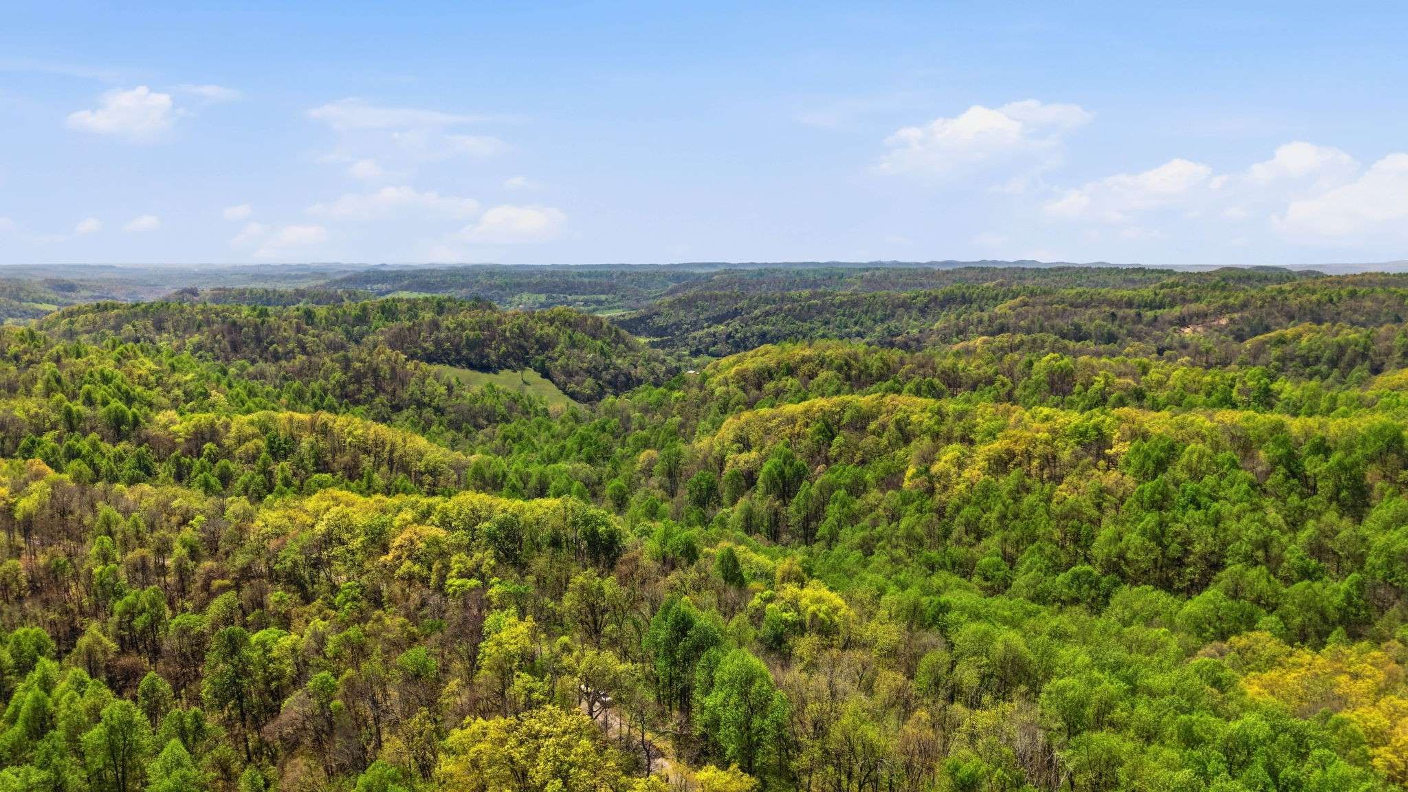 0 Green Road, Beechgrove, TN 37018