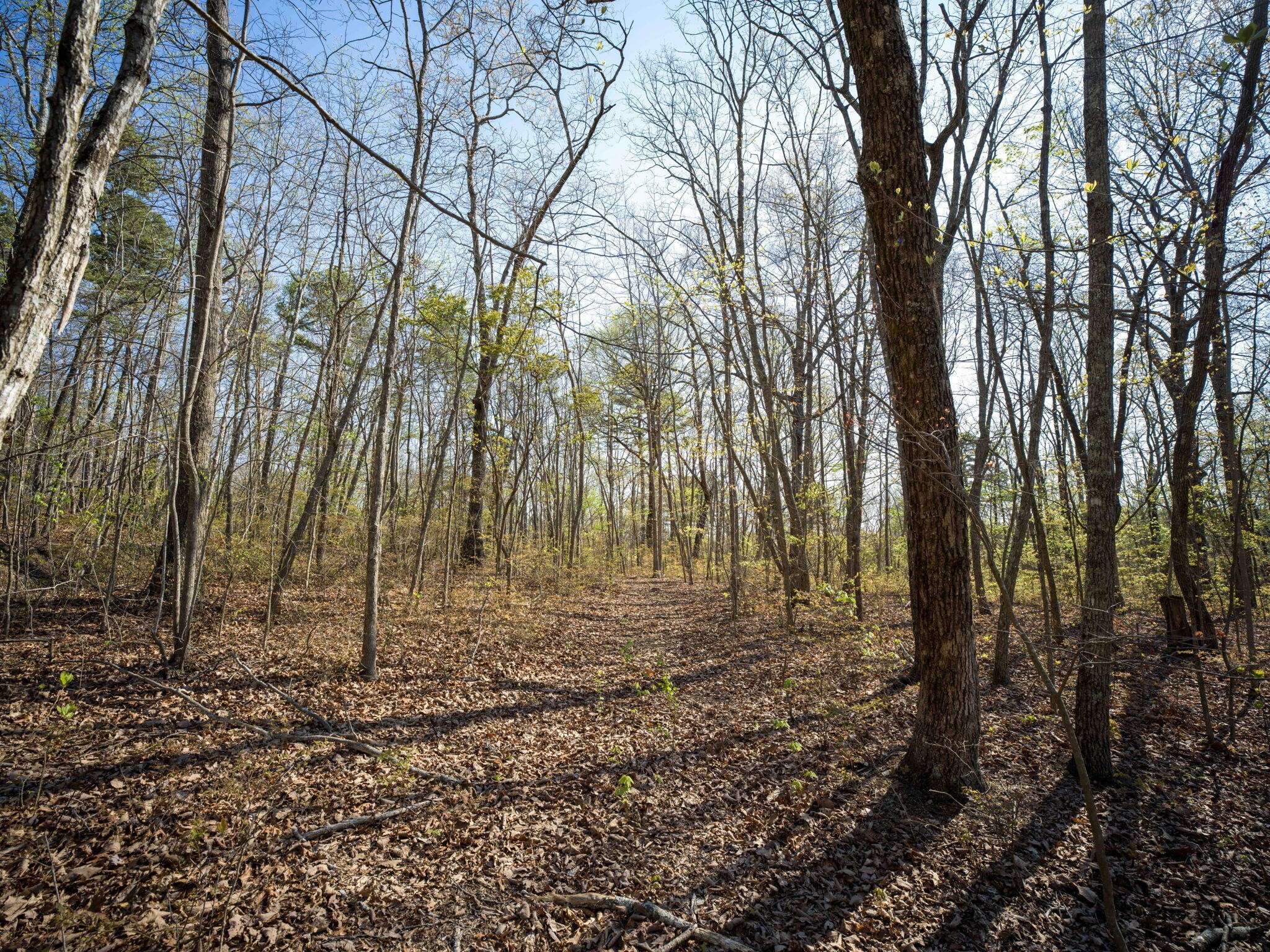 3916 Cummings Road, Chattanooga, TN 37419