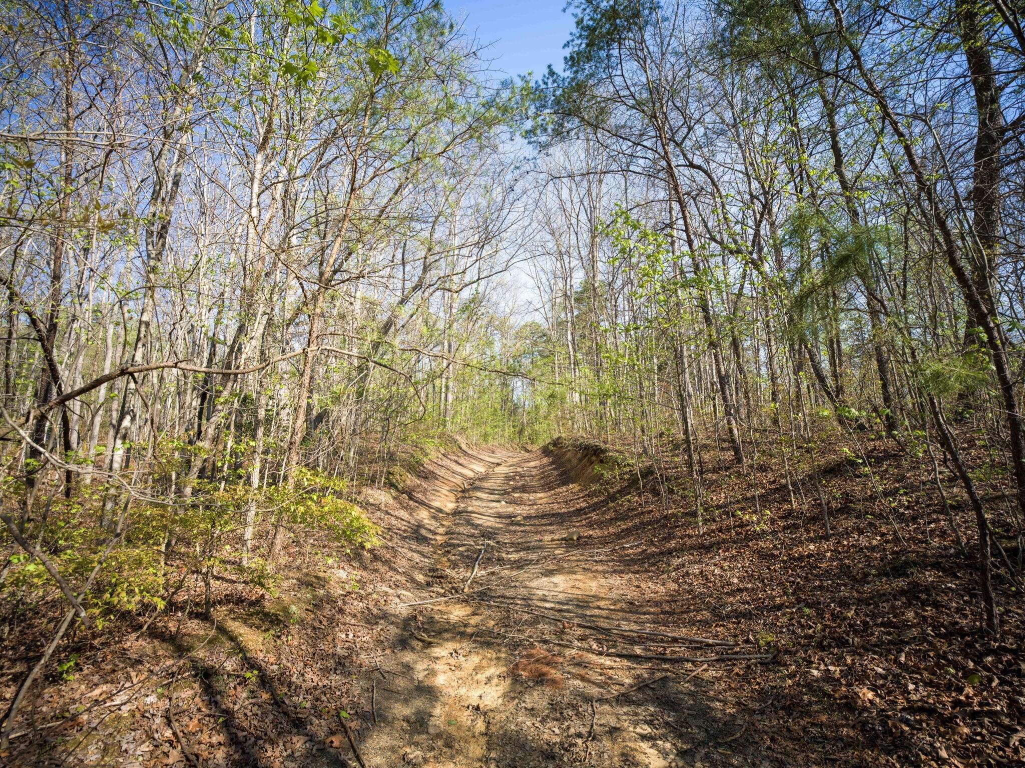 3916 Cummings Road, Chattanooga, TN 37419